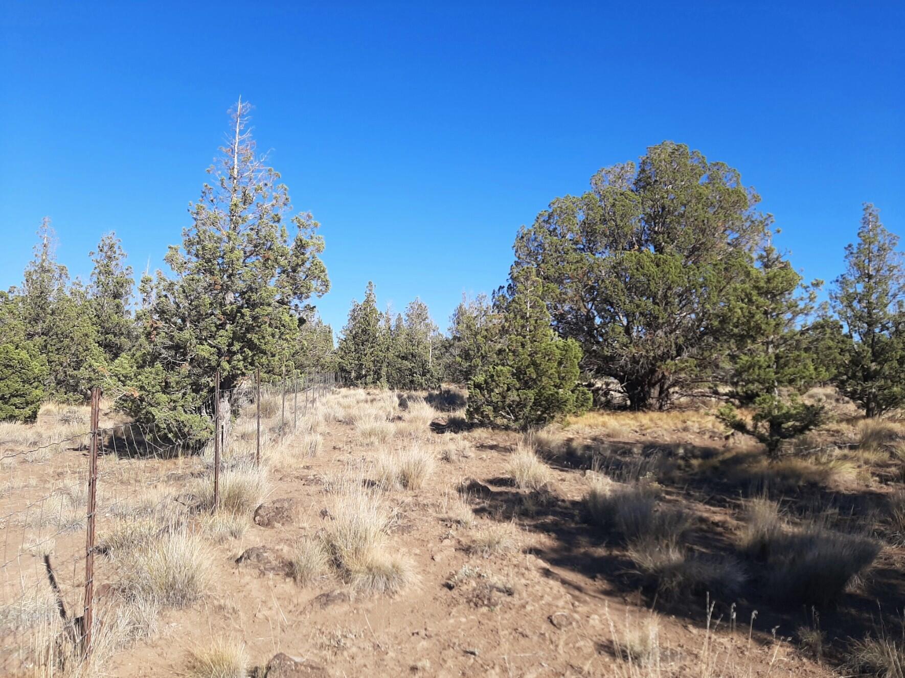 Prineville Lake Acres 2 - Land