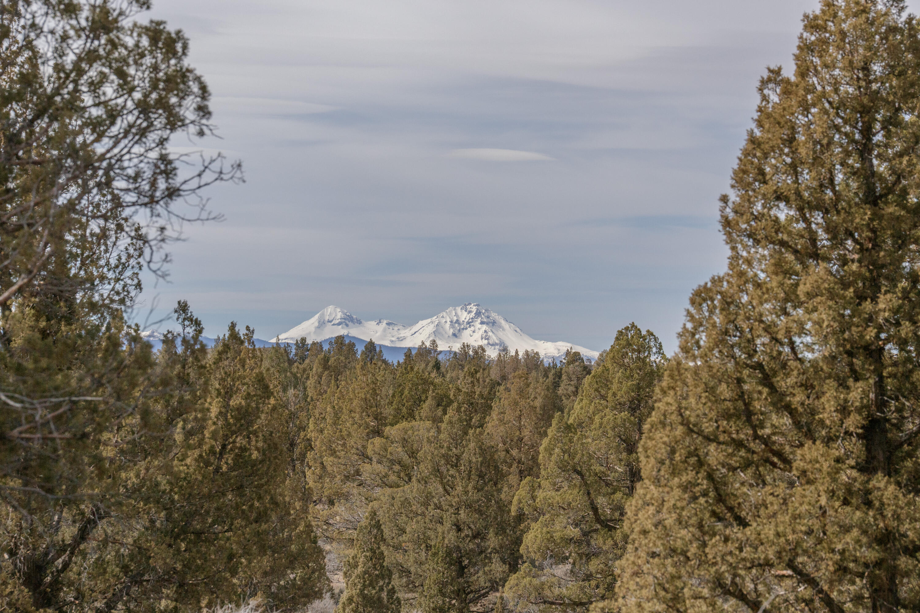 Panoramic Mountain Views from this 9.71 acre parcel will make the perfect backdrop for your dream home! Set at the end of a quiet road and adjacent to county owned
land, you'll have your own private oasis yet still be just minutes from downtown Bend. Beautiful Old Growth Junipers and unique rock outcroppings throughout the property. Want even more space? 9.71 acres next door at 60535 Ward Rd is also available for purchase.