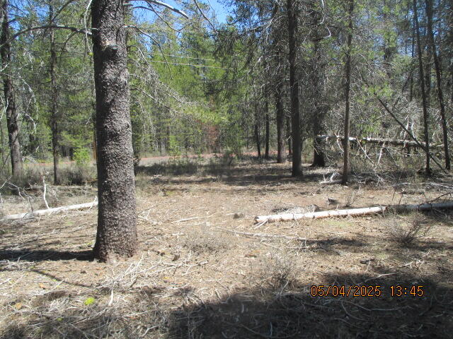 A remarkable piece of property in the Mt. Scott Meadows area! With nearly two acres of level land surrounded by pine trees, it's an excellent opportunity for anyone looking to build a home or vacation getaway in a serene setting. The availability of power at the road is a significant advantage, and the fact that wells are only 100 feet deep suggests that water access is relatively straightforward.  Being 24 miles north of Chiloquin, OR, gives you a blend of rural living while still being accessible to amenities in town. The natural surroundings also offer great potential for outdoor activities, such as hiking, camping, and enjoying the local wildlife.