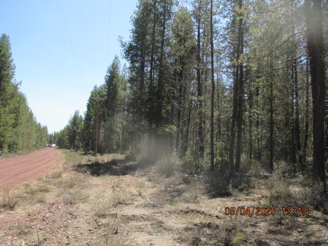 Mt. Scott Meadow - Land