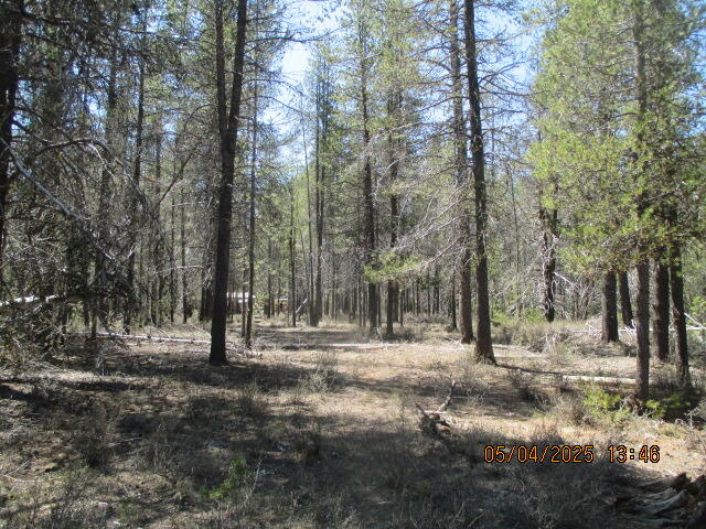 Mt. Scott Meadow - Land