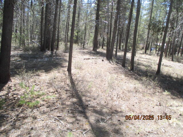 Mt. Scott Meadow - Land