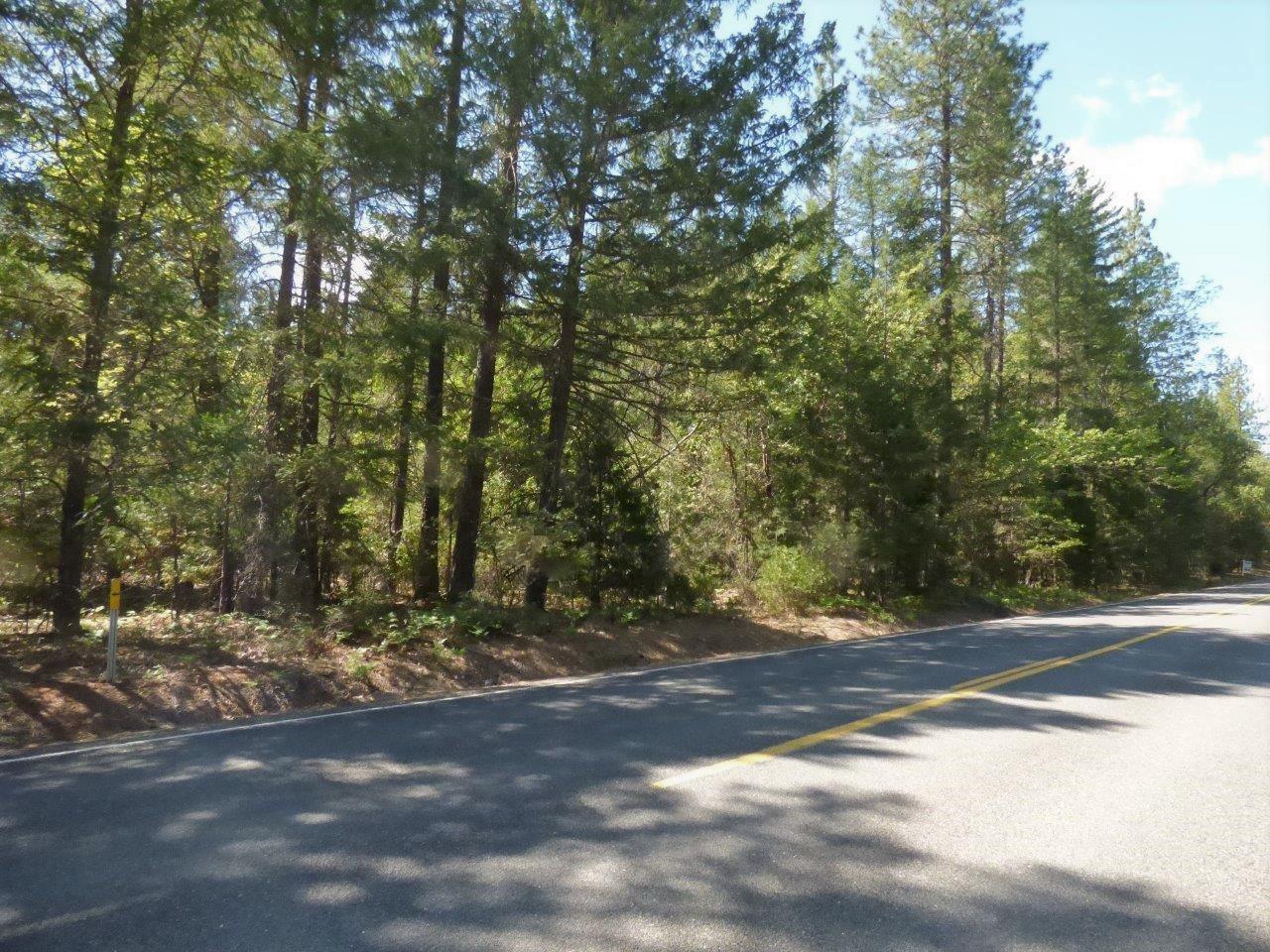 Lovely treed and level 5.1 Acre Parcel for building your Oregon dream home!  Raw land (no improvements).  Street frontage; see maps.
