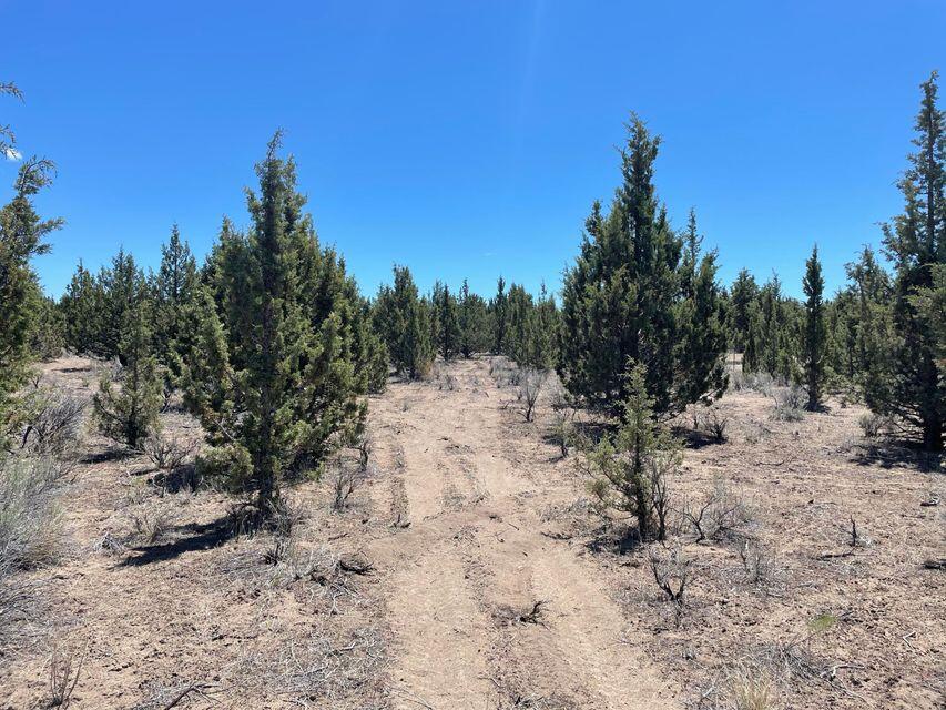 Build your dream home on this 1.91 acre lot in Prineville Lake Acres 2. Close to Prineville Reservoir and only minutes from downtown Prineville. Paved road to the property with power available at the street. This level lot with large trees provides ample space for your toys and privacy to enjoy the best of Central Oregon living. Don't miss out on this opportunity!