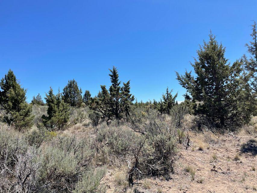 Prineville Acres - Land