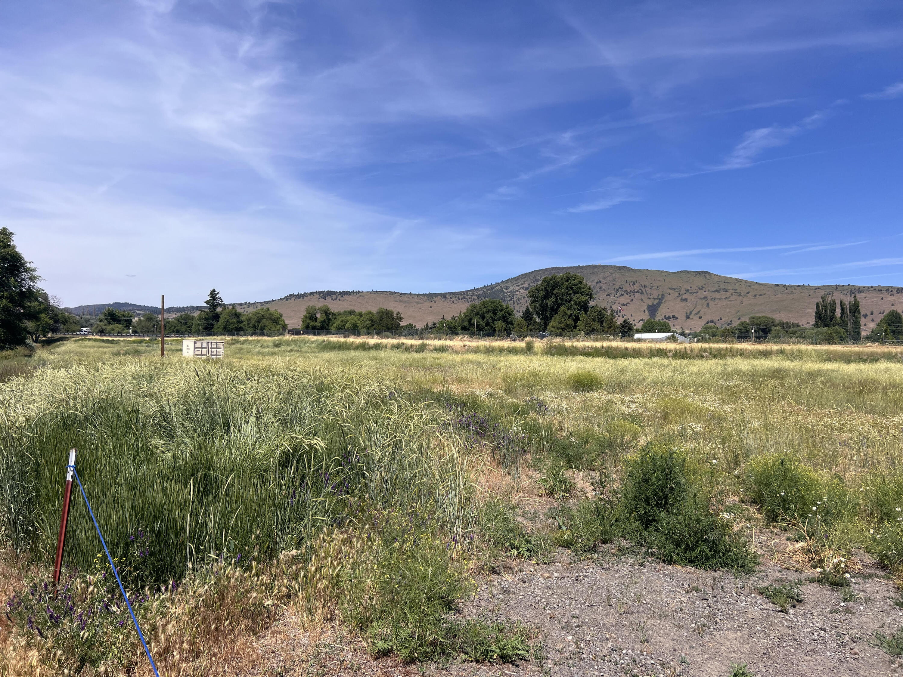 Shasta View Tracts - Commercial Sale