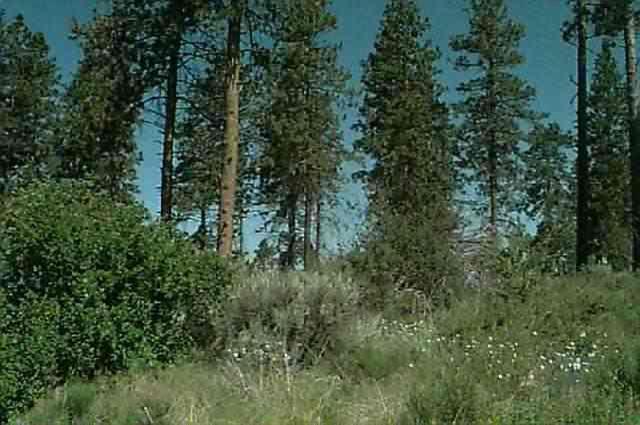 Chiloquin - Land