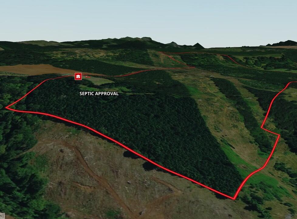 Buildable 114 ac of Great timber, Christmas tree, farming & ranching property with fantastic valley views.  Septic approval & the home site sits at the end of a long-private easement with potential for valley views.  The entire property is easily managed w/ a good road system.  A healthy 25-30 year old 66 ac stand of Douglas Fir will be ready for a thinning soon. The Jory & Nekia soils have supported a variety of farming & ranching operations in the past.