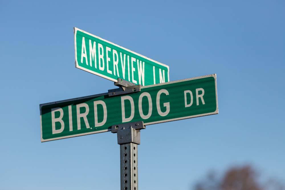 Pheasant Run - Land
