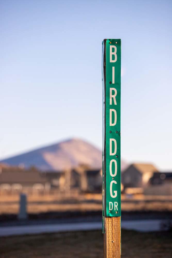 Pheasant Run - Land