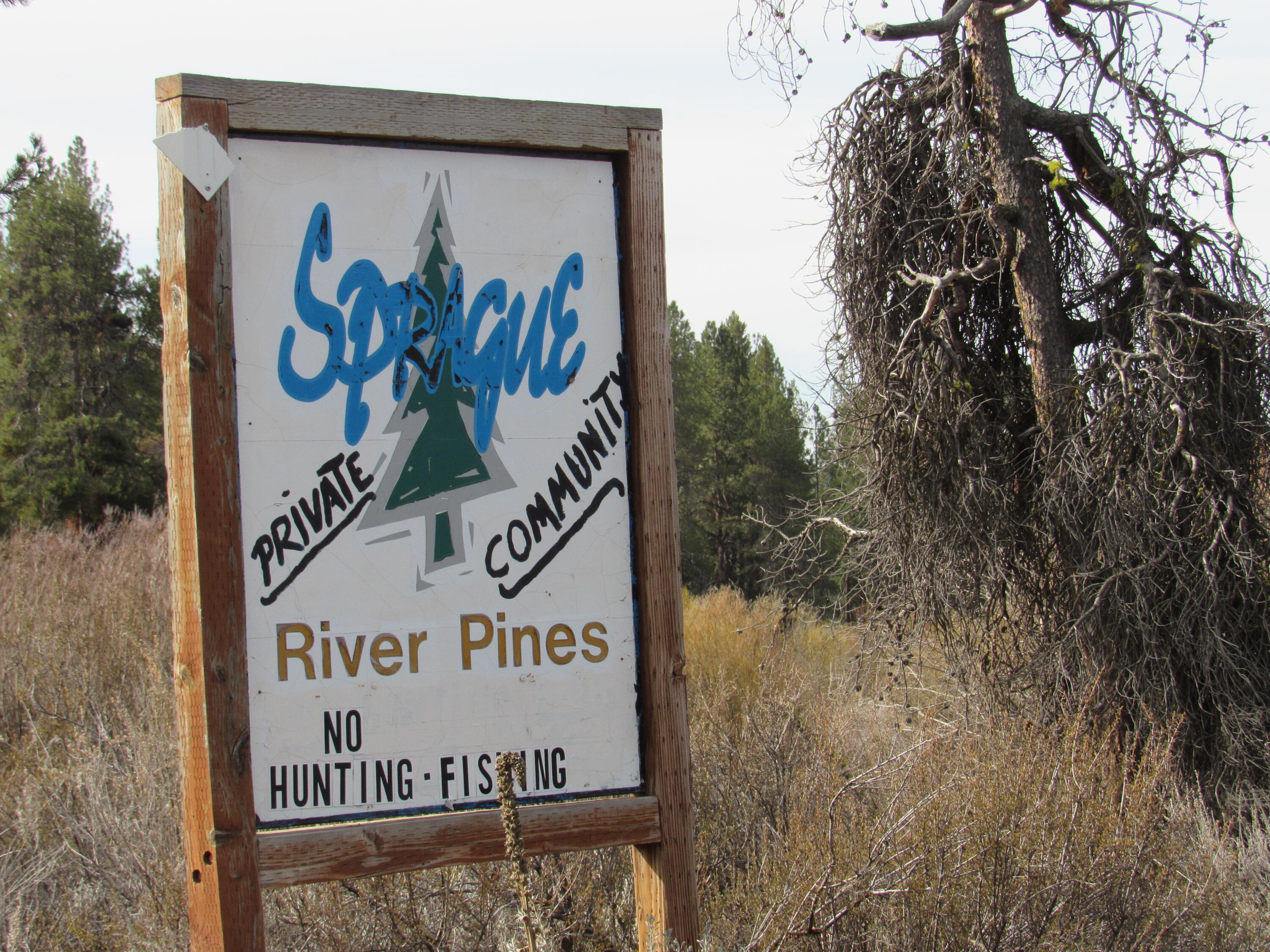 Sprague River Pines - Land