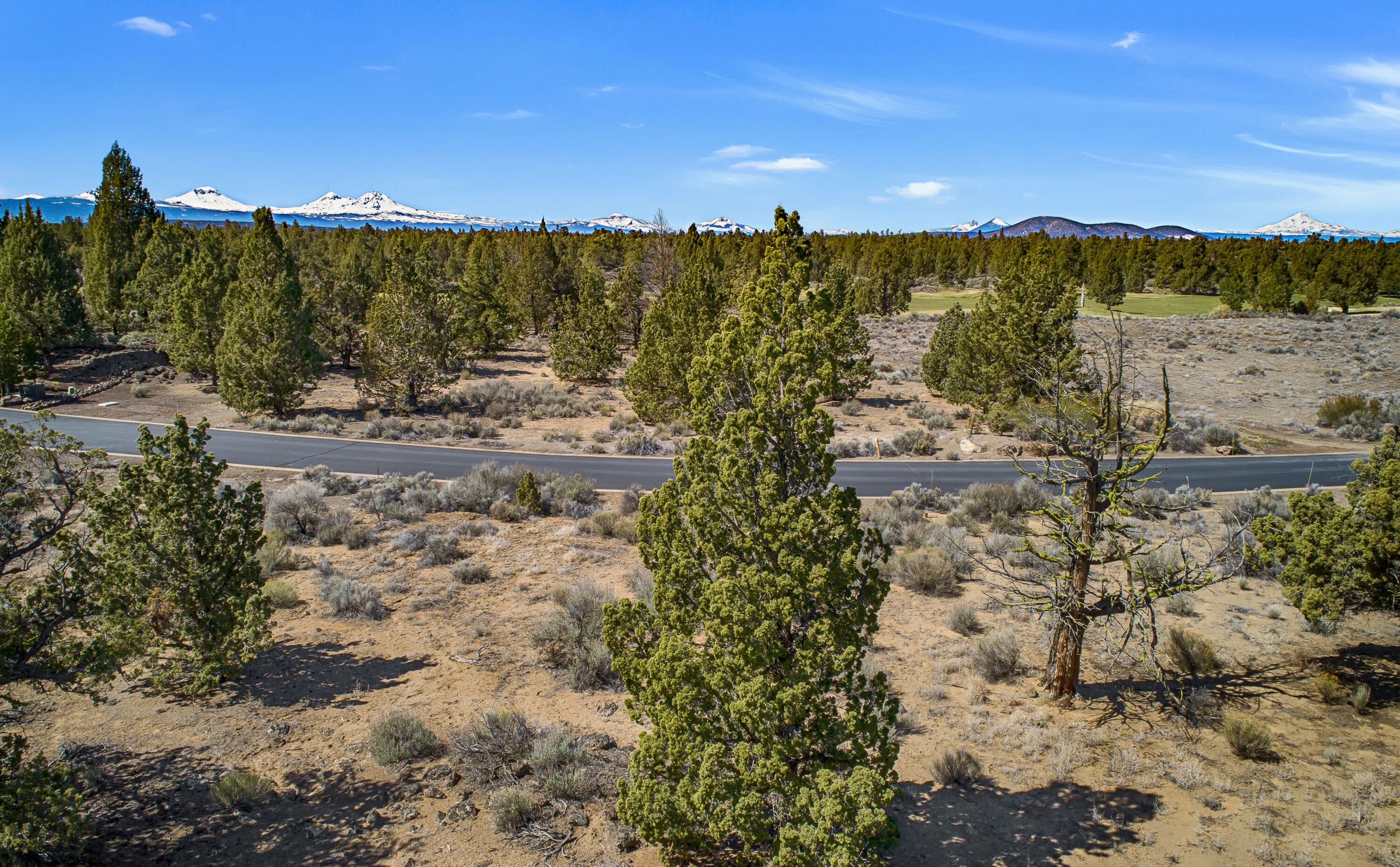 Pronghorn - Land