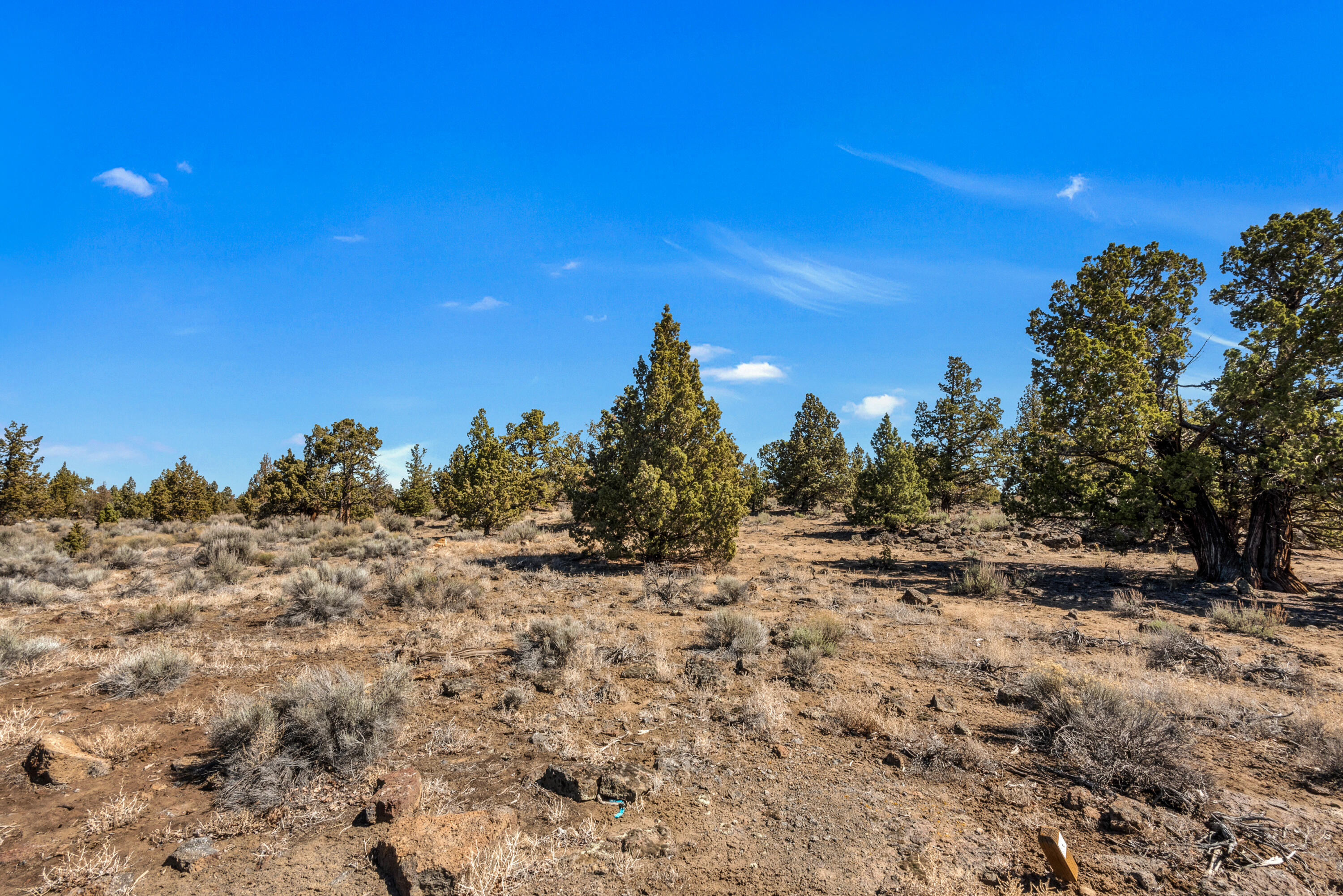 Pronghorn - Land