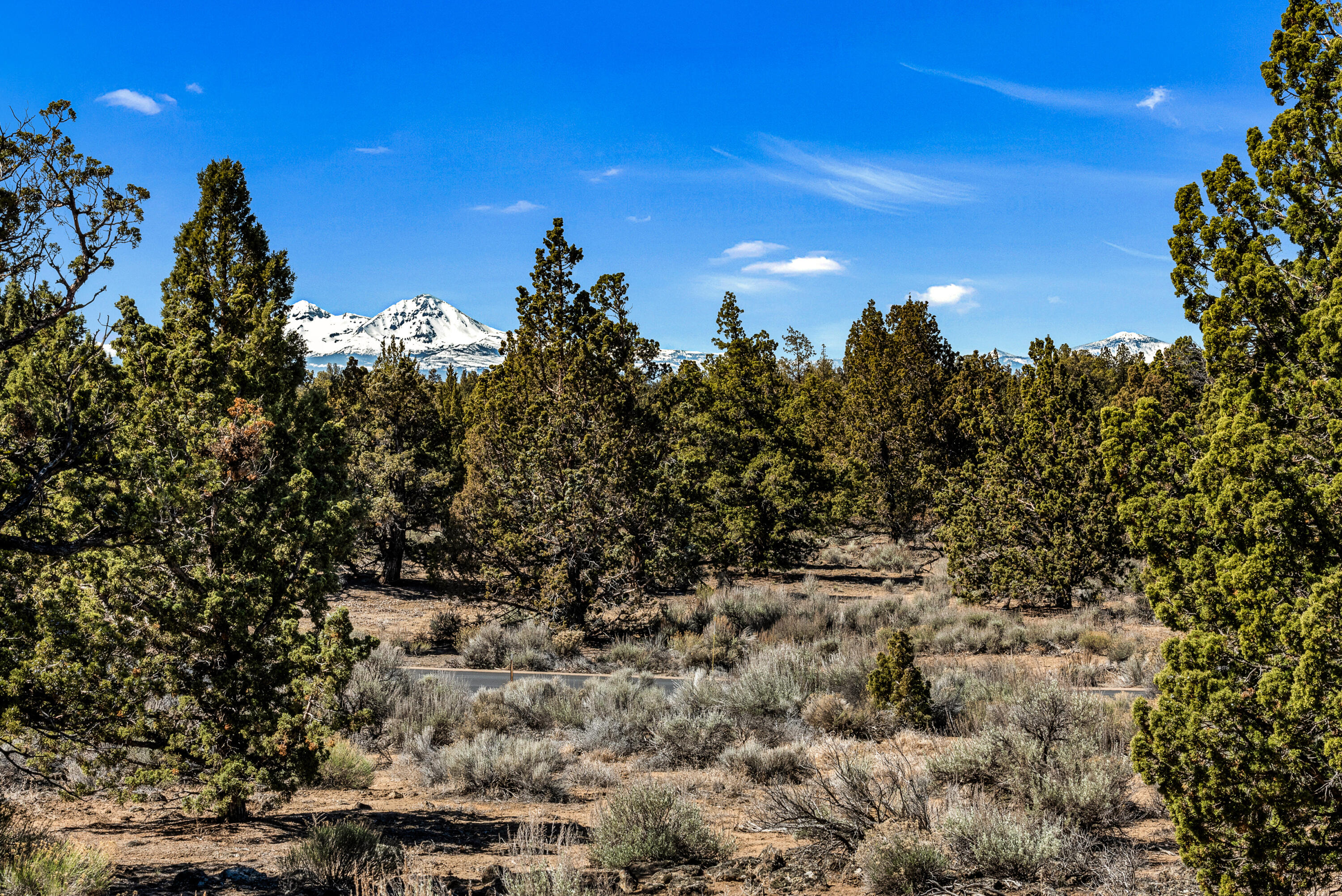Pronghorn - Land