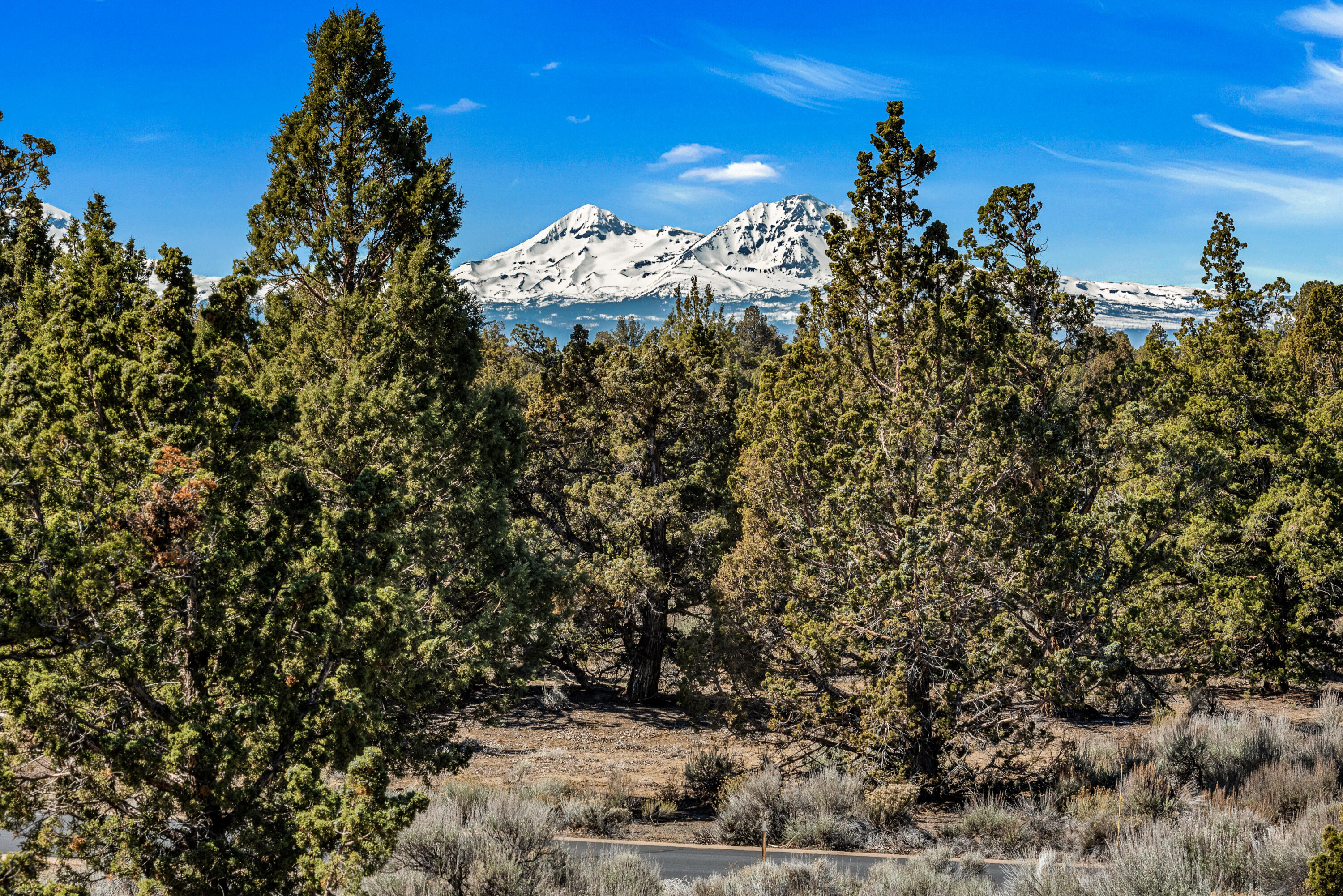 Pronghorn - Land