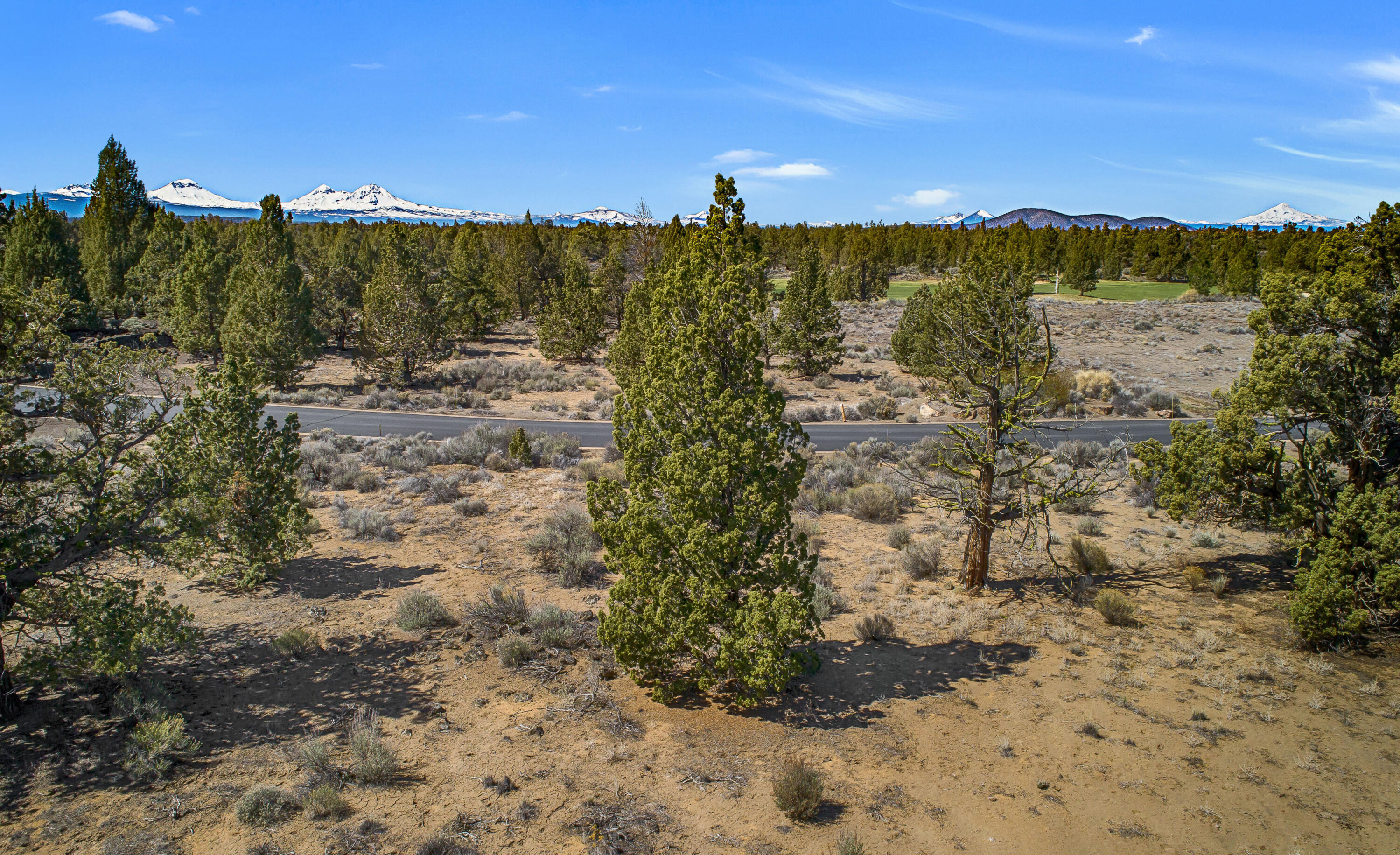 Pronghorn - Land