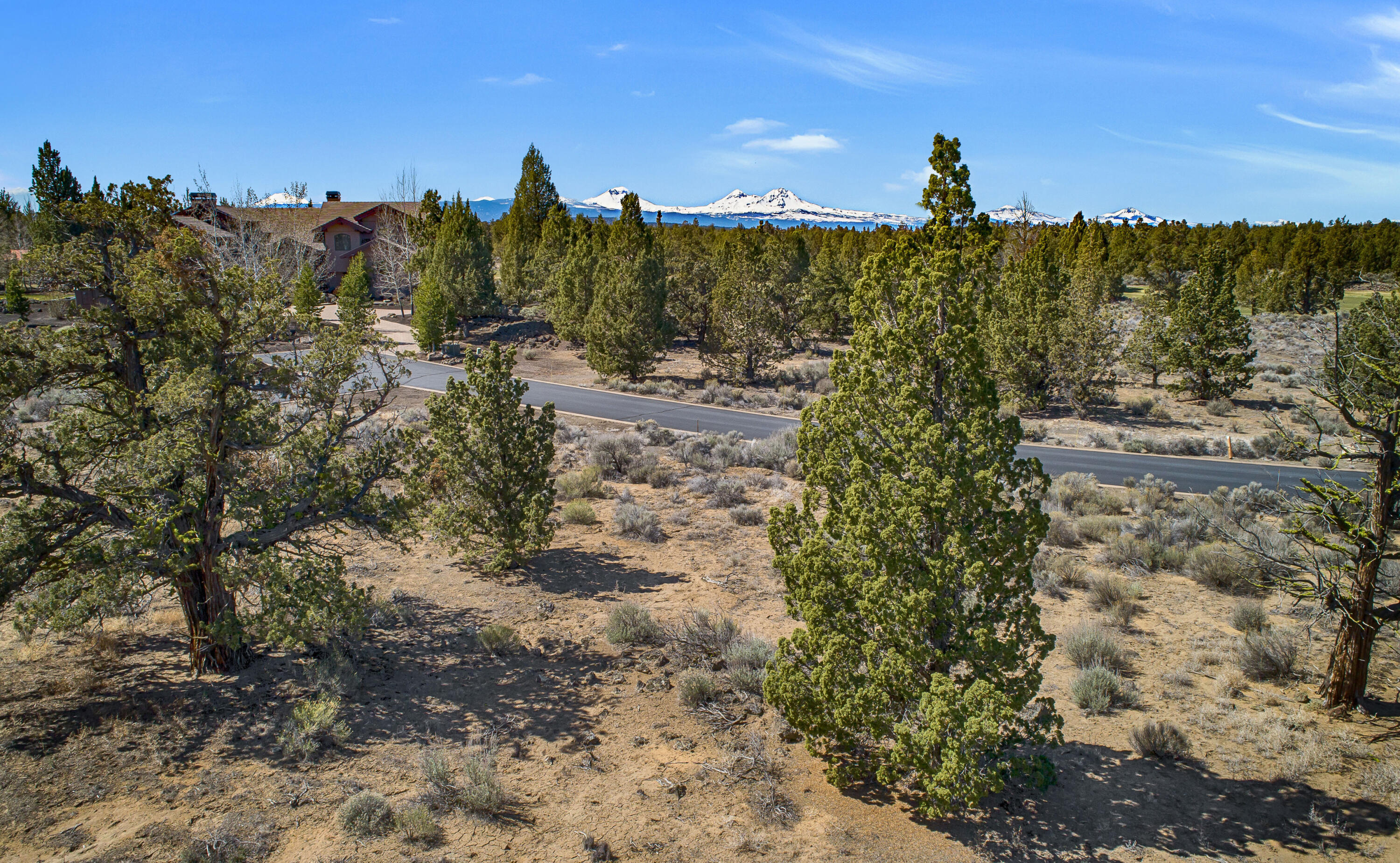 Pronghorn - Land