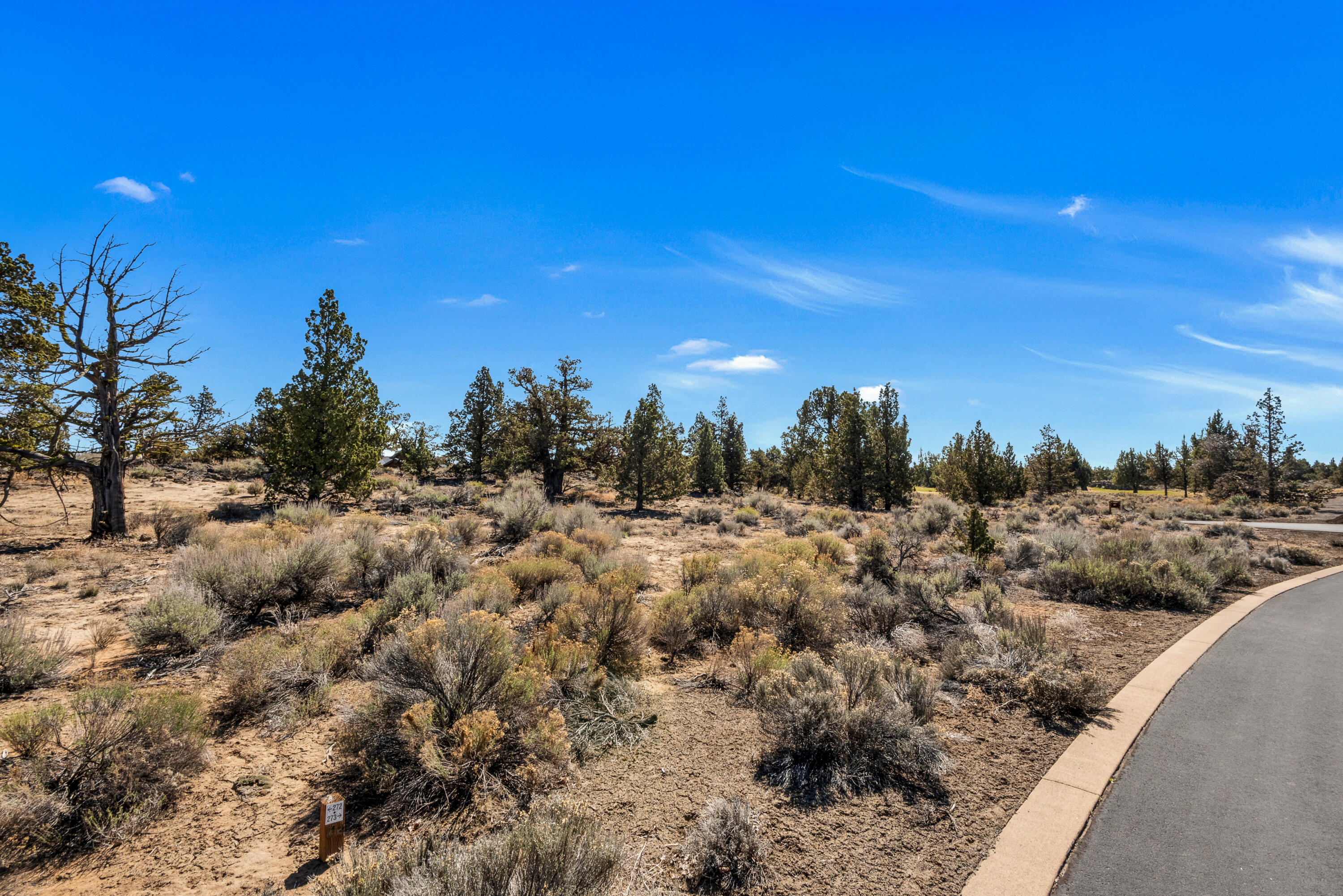 Pronghorn - Land