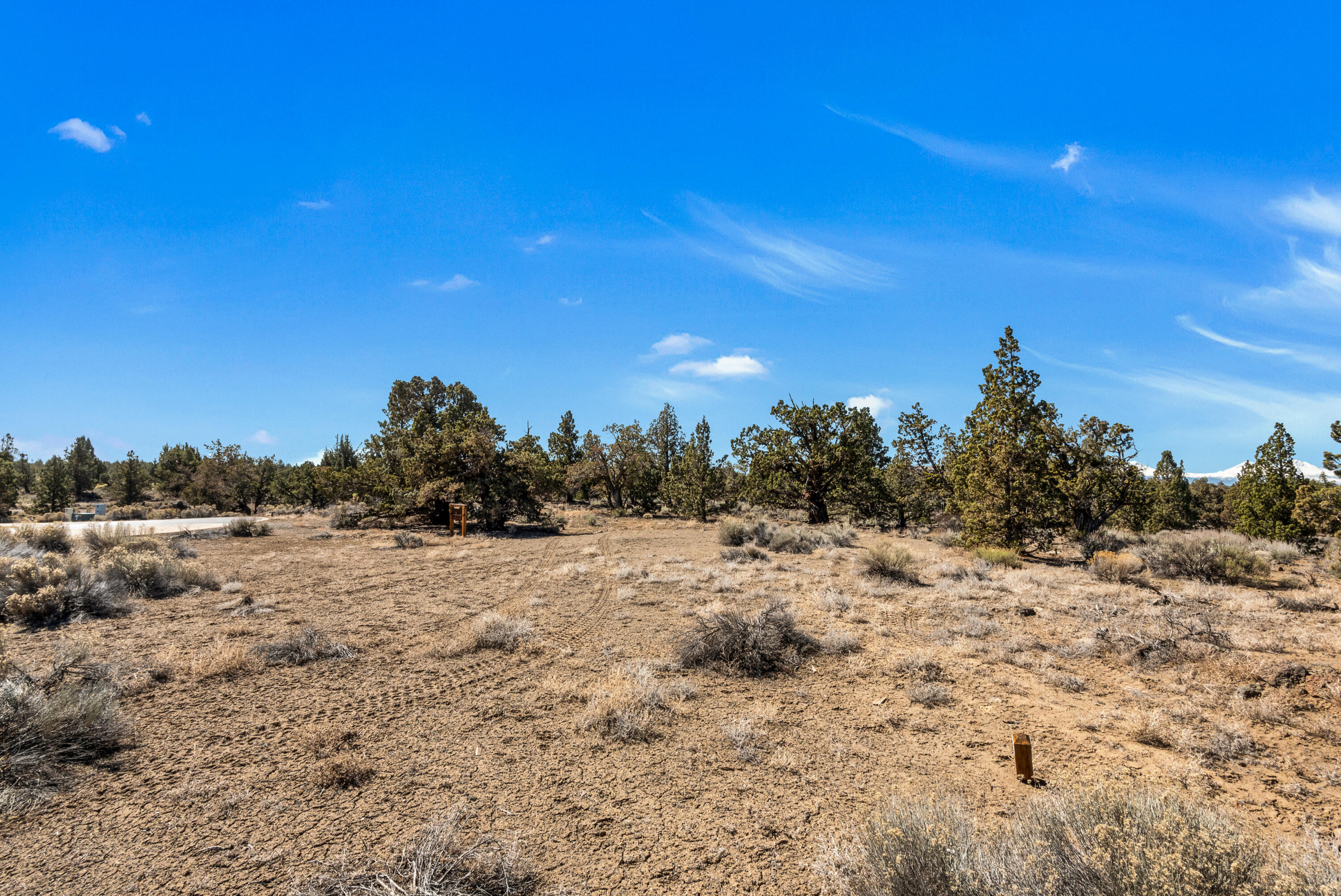 Pronghorn - Land