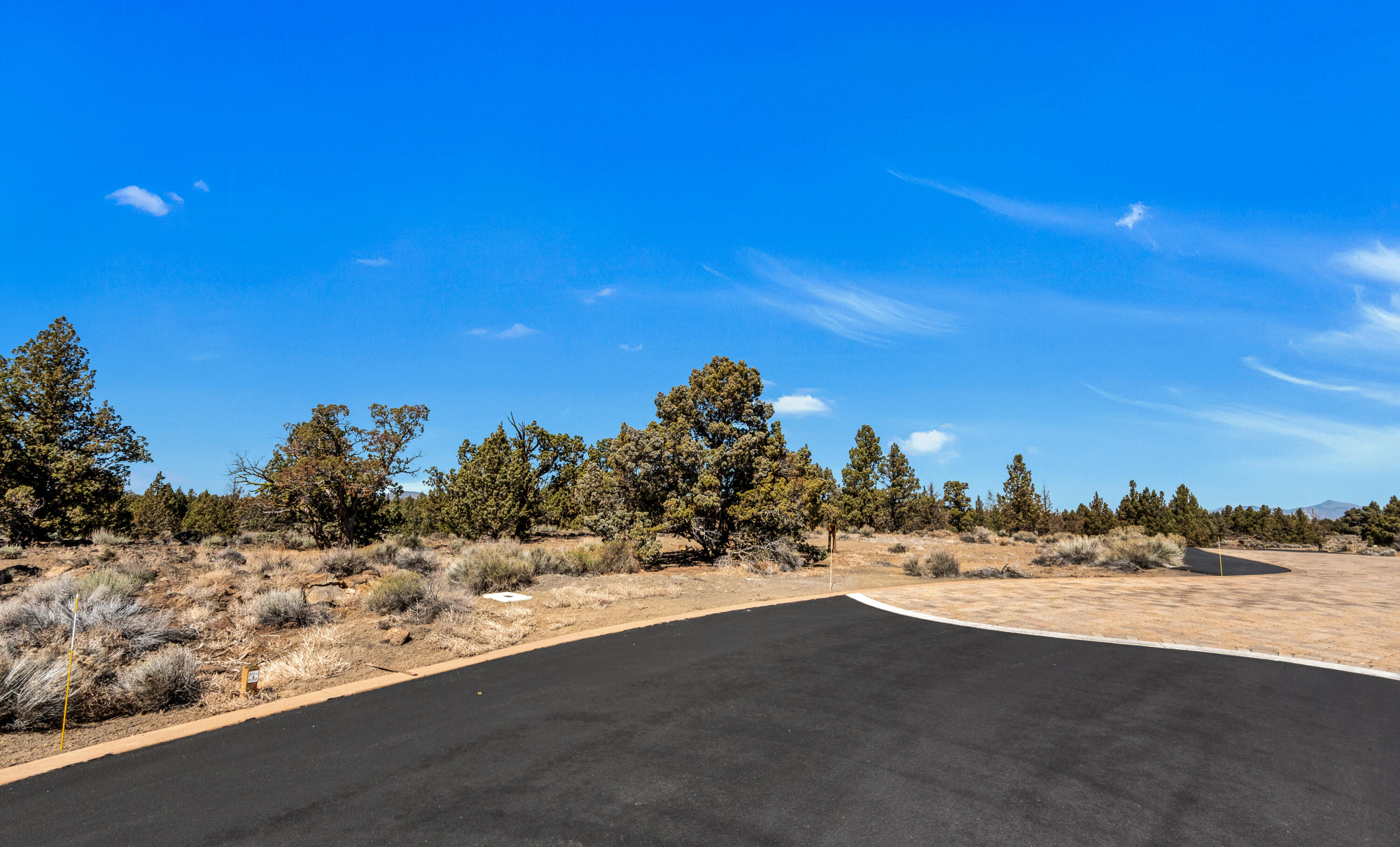 Pronghorn - Land