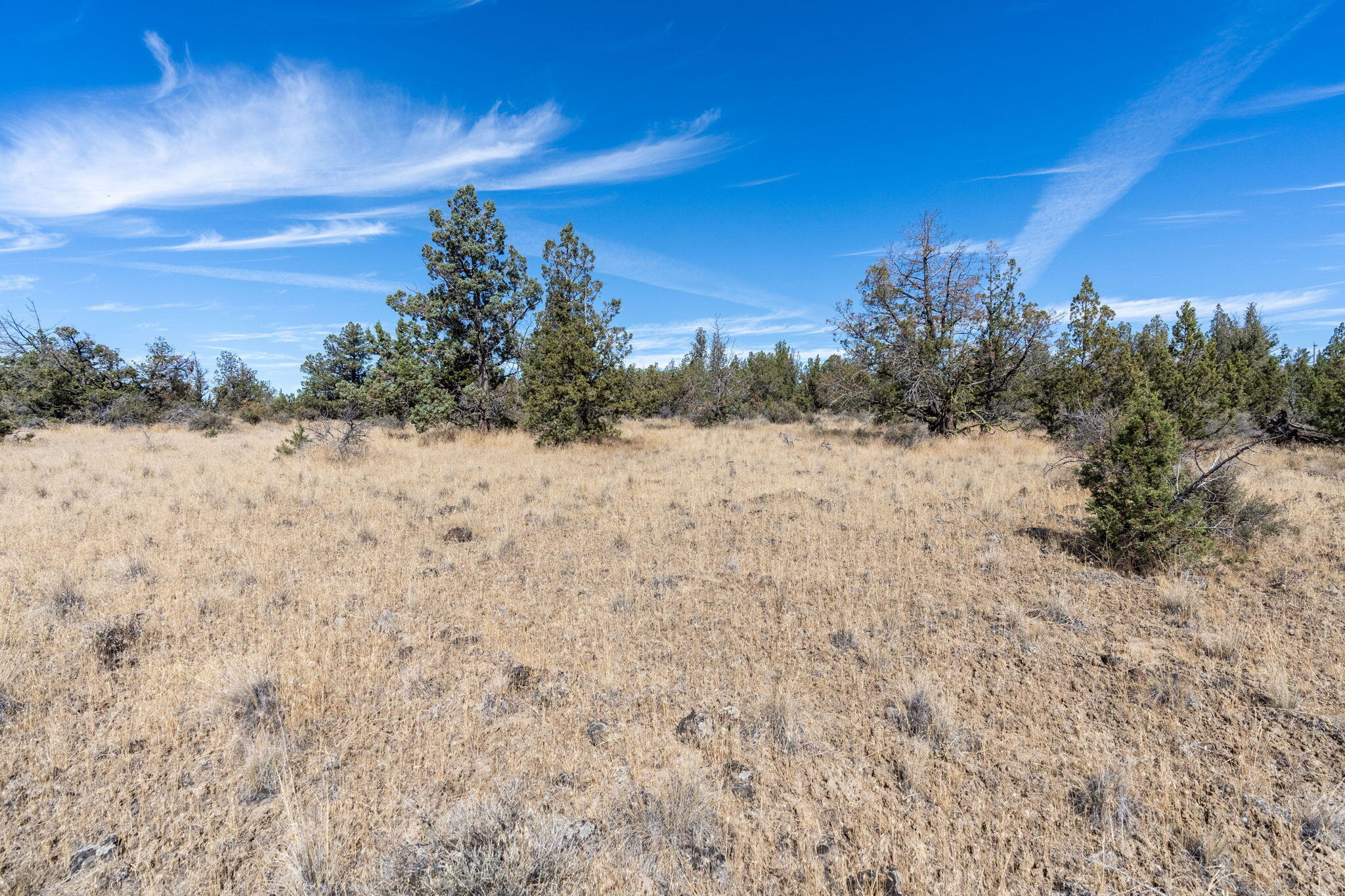 Longhorn Ridge - Land