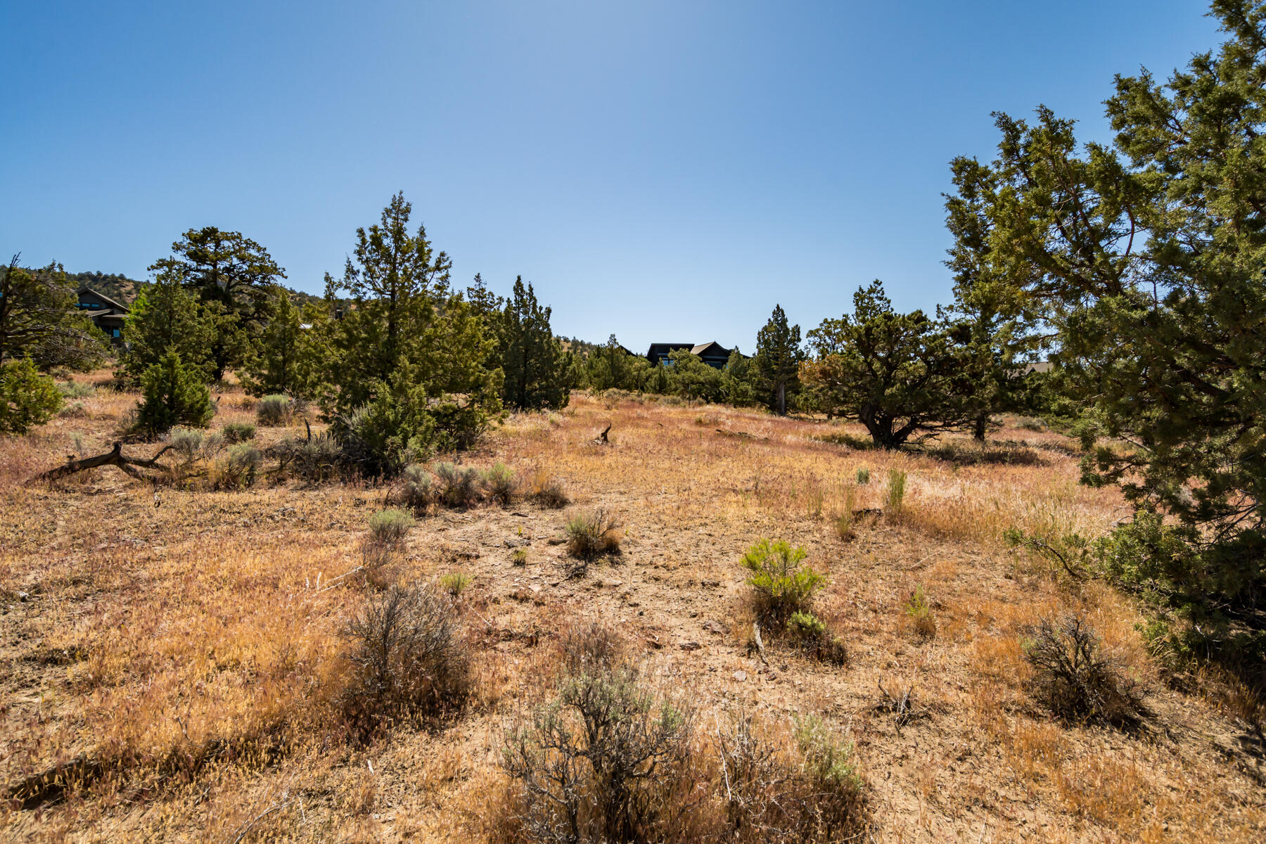 Brasada Ranch - Land
