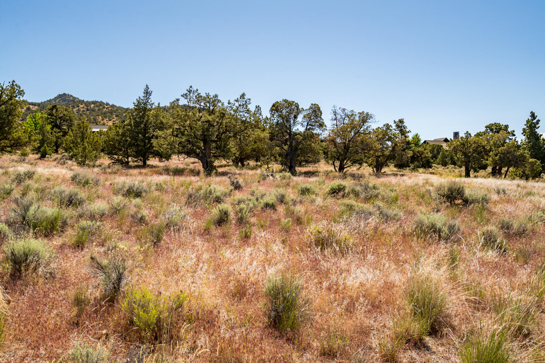 Brasada Ranch - Land