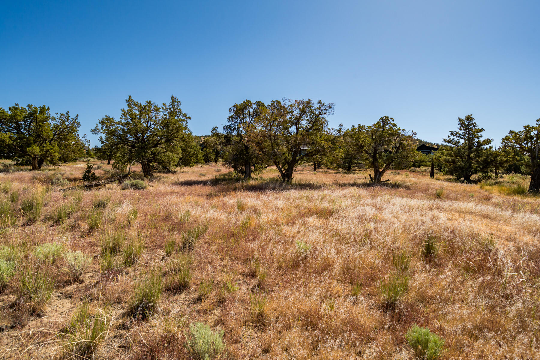 Brasada Ranch - Land