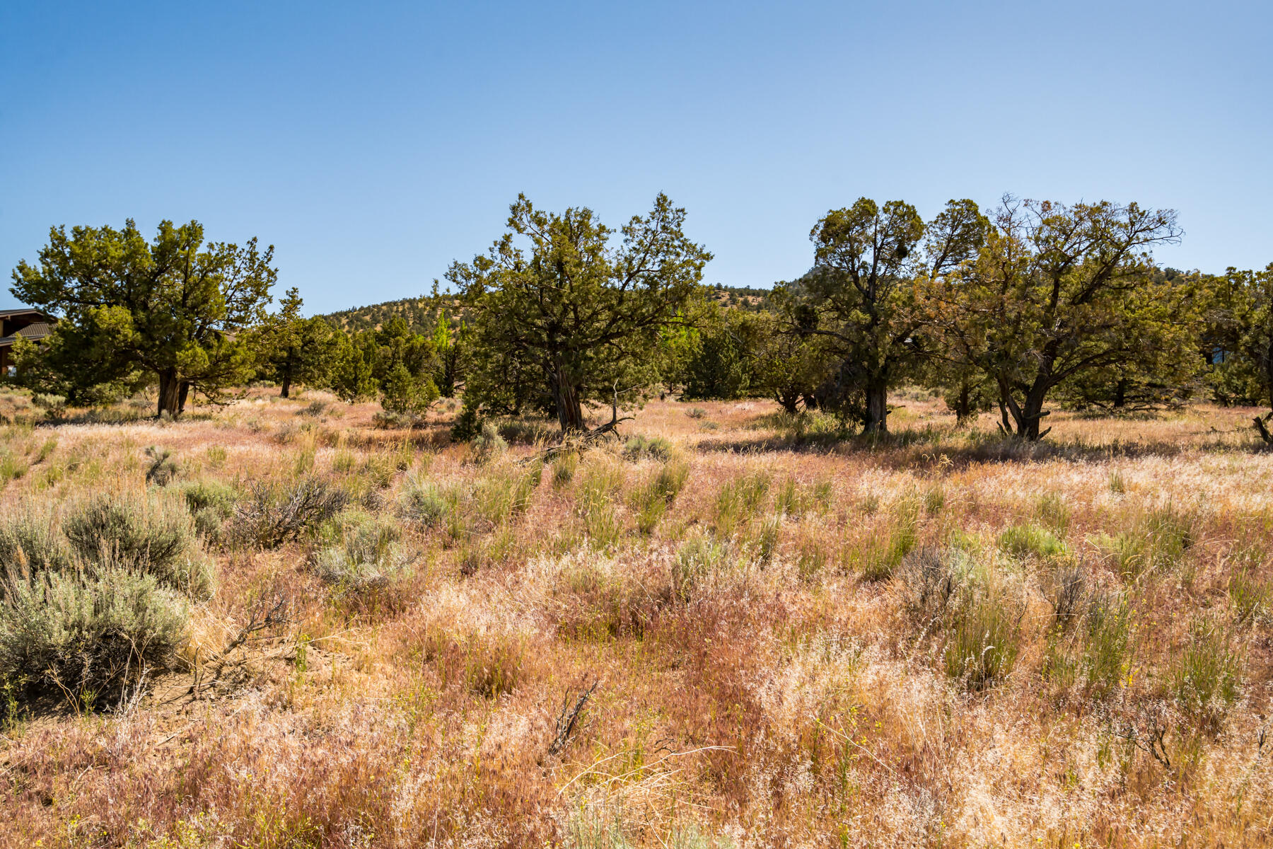 Brasada Ranch - Land