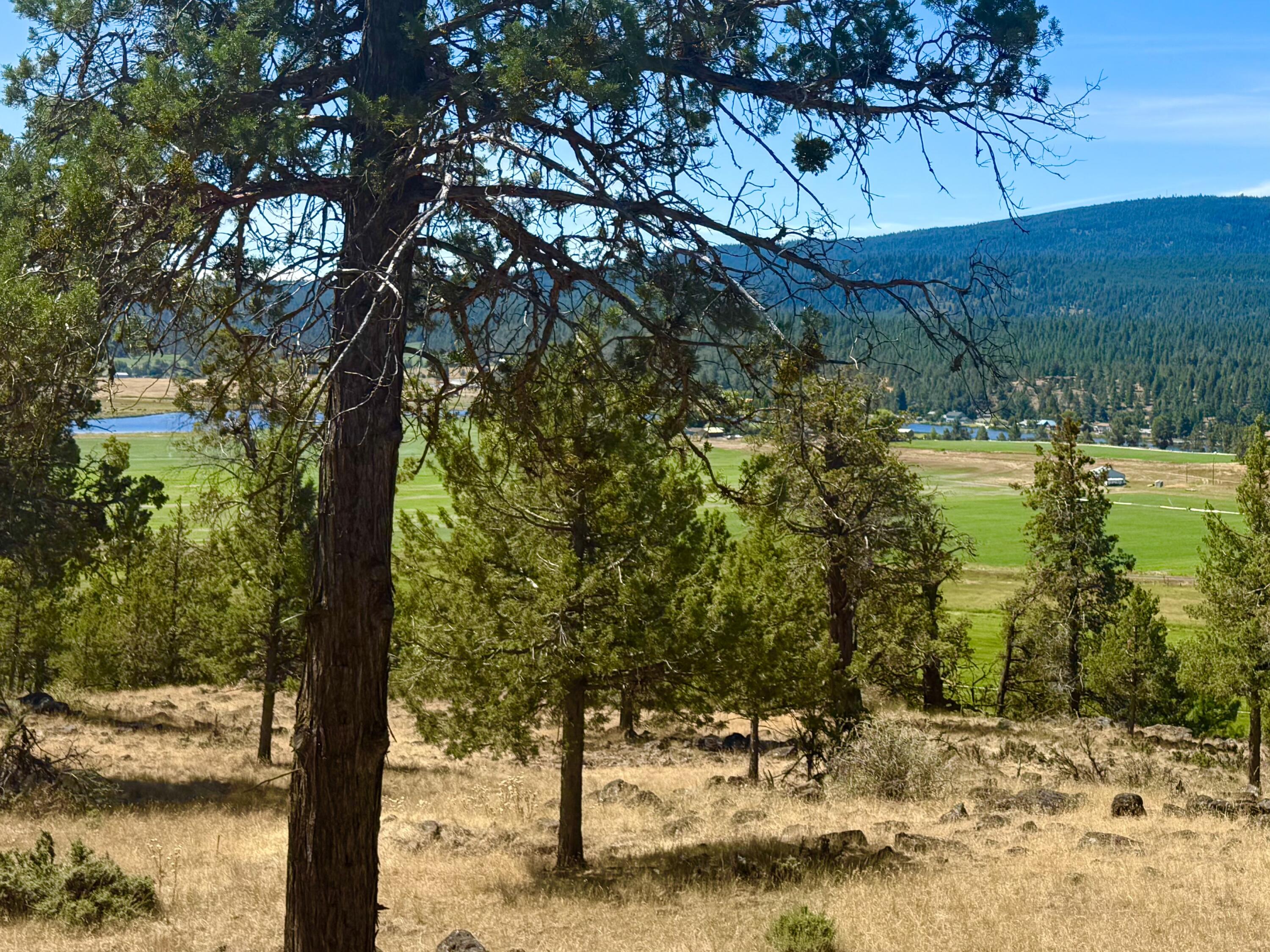 Keno Hillside Acres - Land