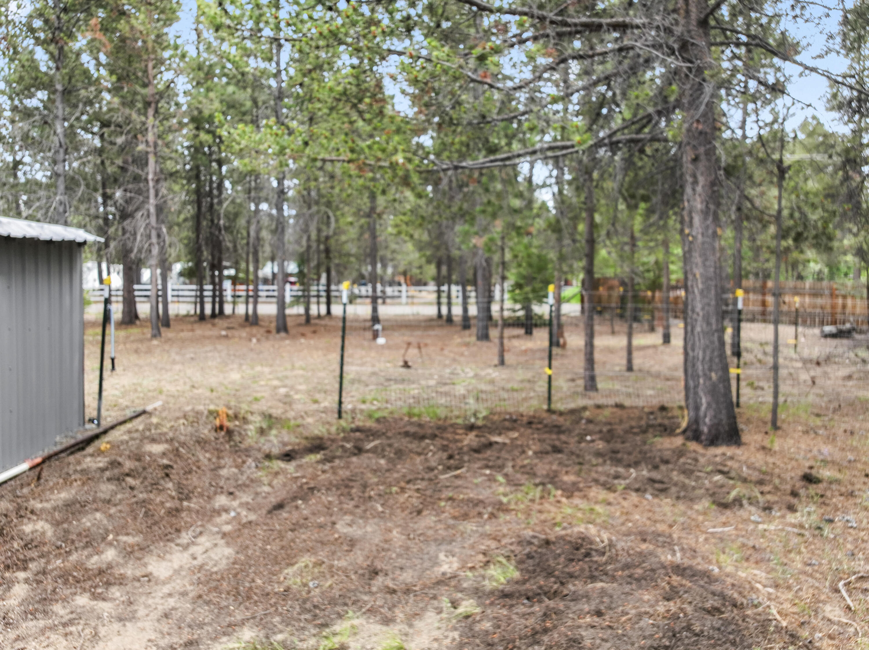 Tall Pines - Residential