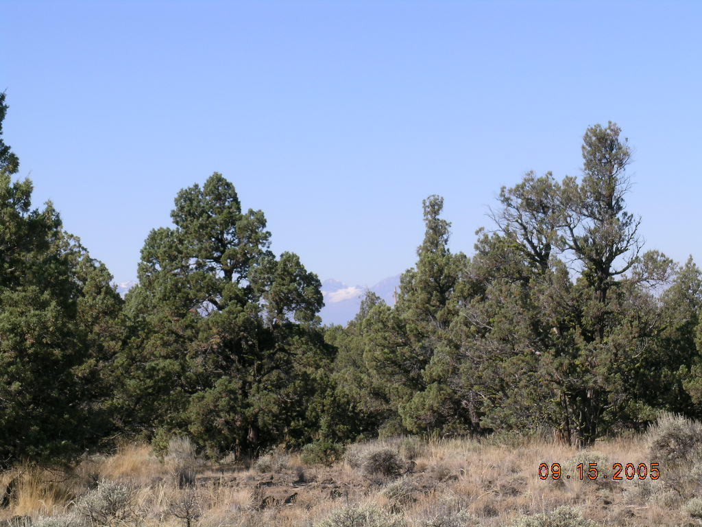 West Powell Butte Es - Land