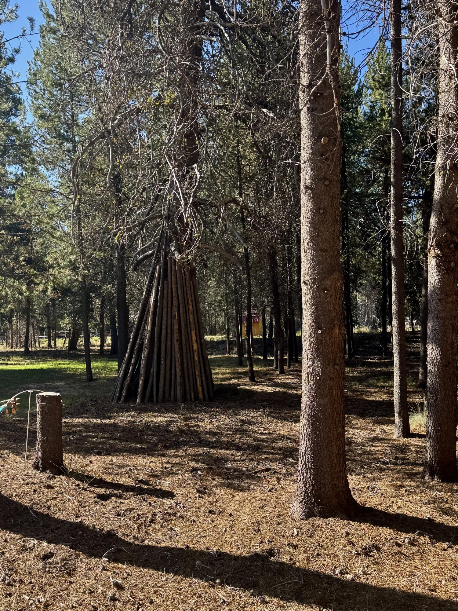 Mt. Scott Meadow - Residential