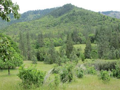 Gorgeous Homesite in a private Valley with rolling meadows and 40 acres of tranquility. Quiet and peaceful near to Grants Pass and just a few blocks from the Rogue River. The current building site envelope has wonderful views towards Rover River with gentile rolling hills and mountain vistas. Abundant wildlife on the property and corners up to BLM. The Little Savage Creek crosses through the entire property. Part of the property has healthy timber stand and great mix of trees. Build your private sanctuary so close to all the conveniences of Grants Pass.