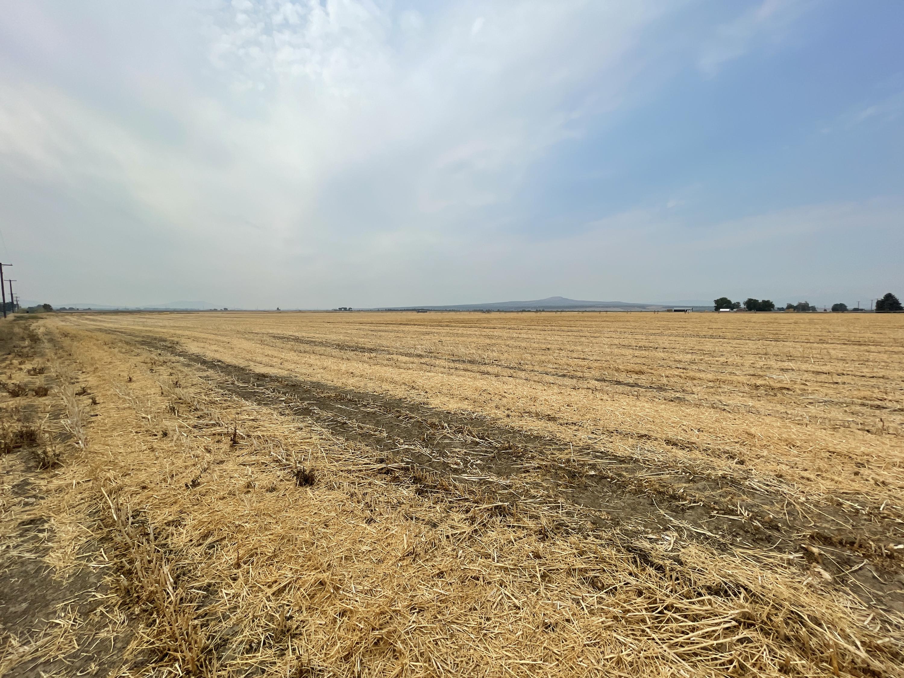 38.8 acres of flat, beautiful farm ground with 38.8 acres of irrigation and it includes the existing wheel lines. Drive by and see for yourself. Make your offer today.