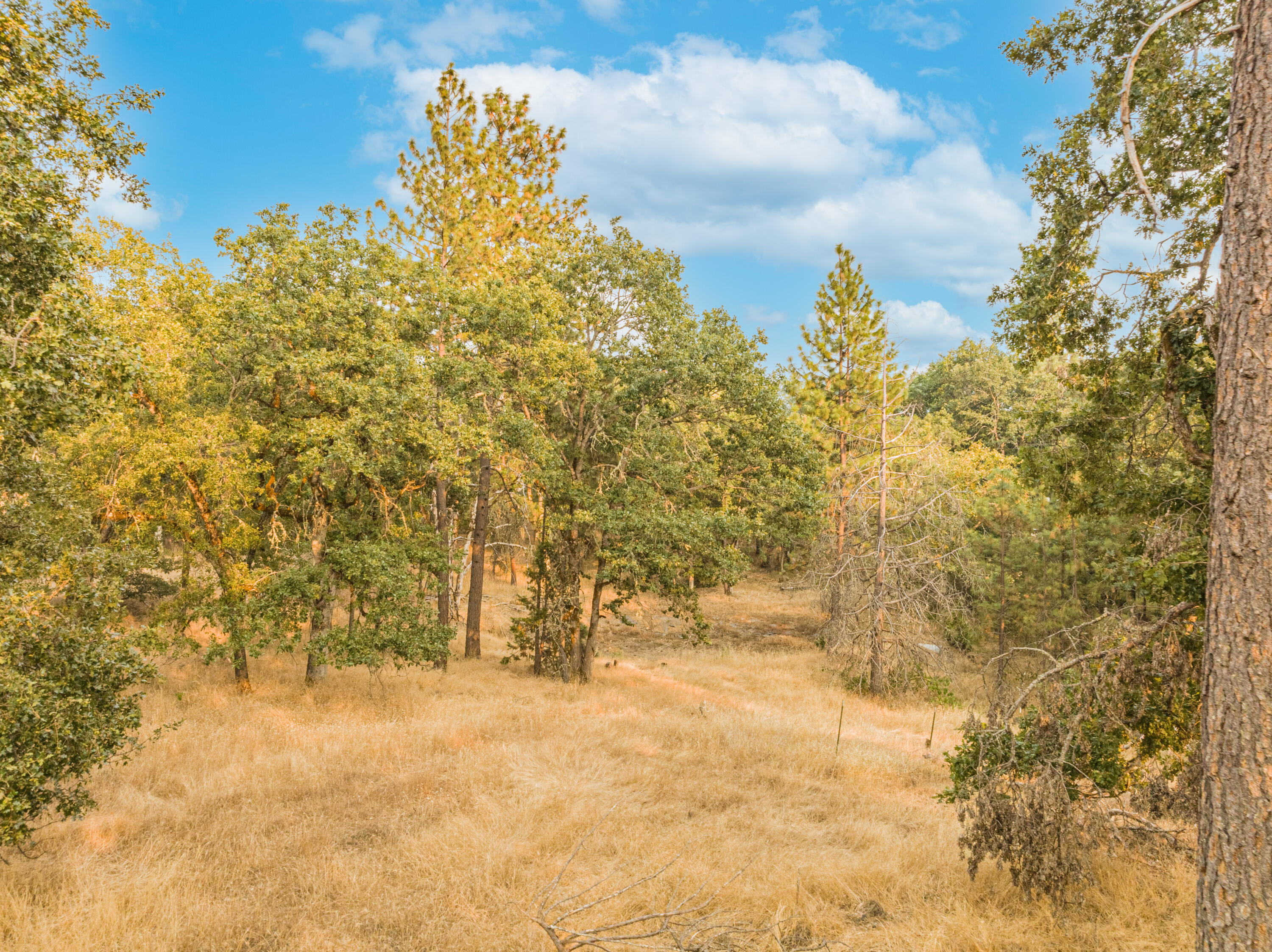 Bonnie Brae Subdivision - Land
