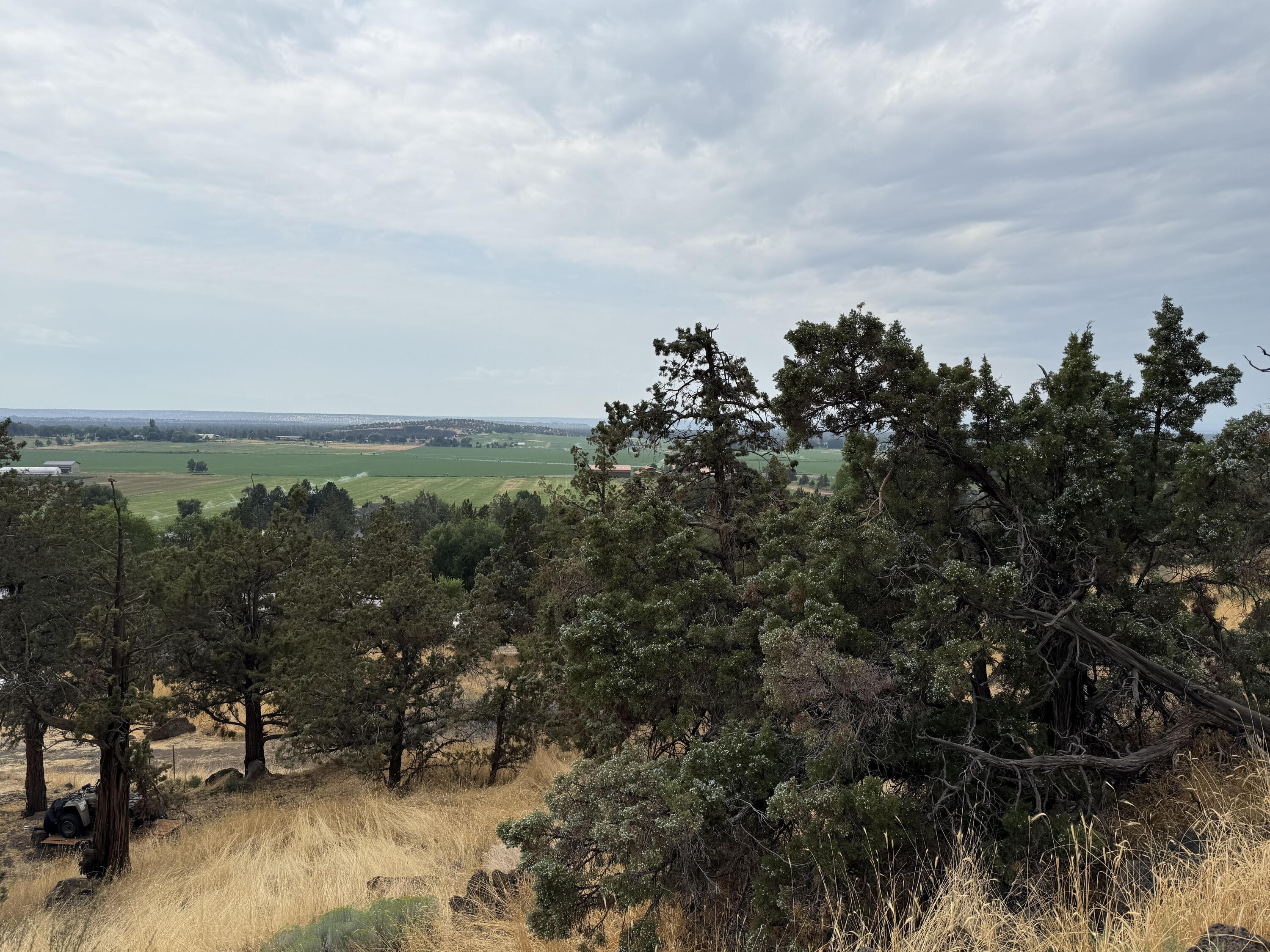 Hillman - Land
