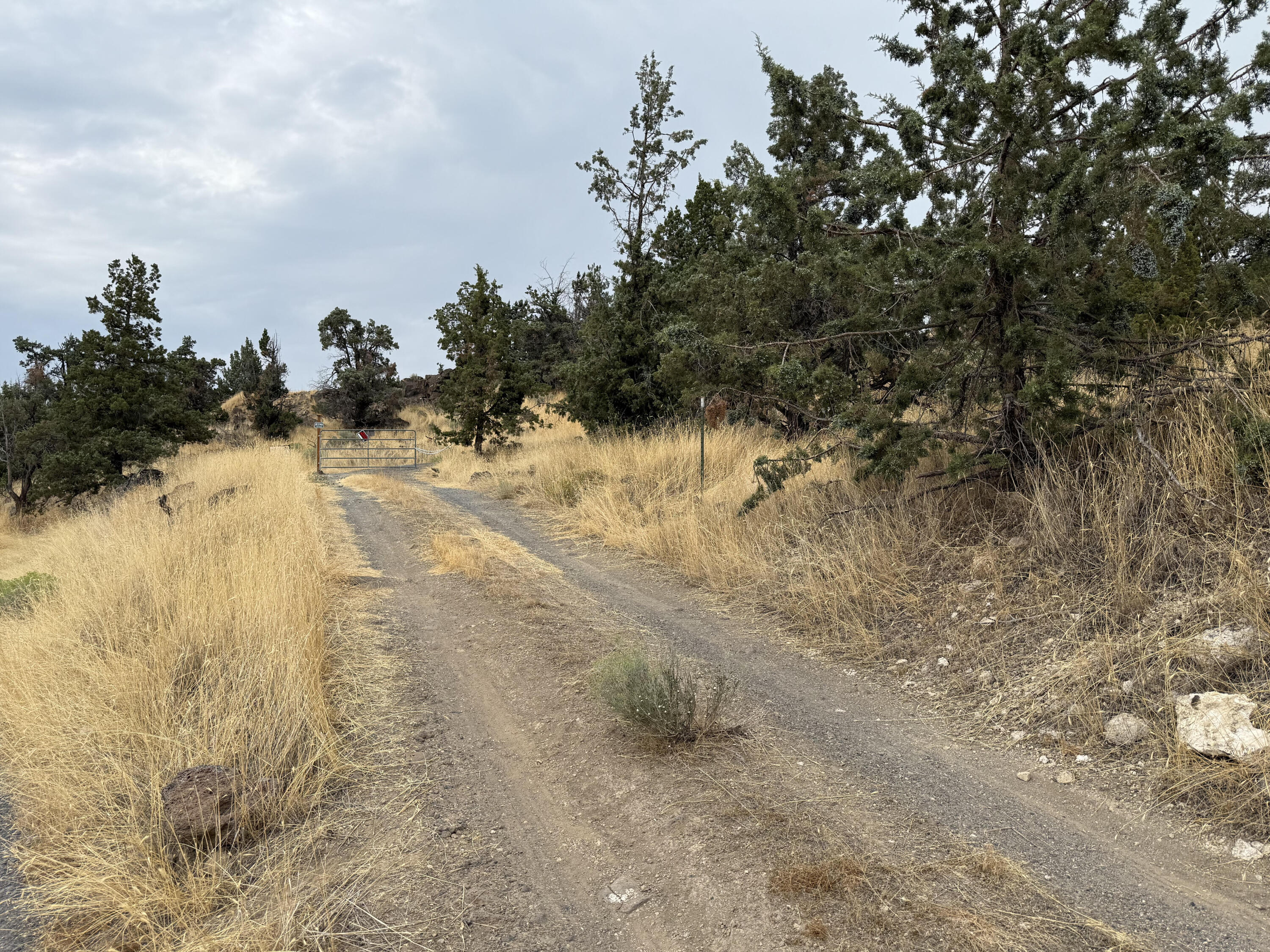 Hillman - Land