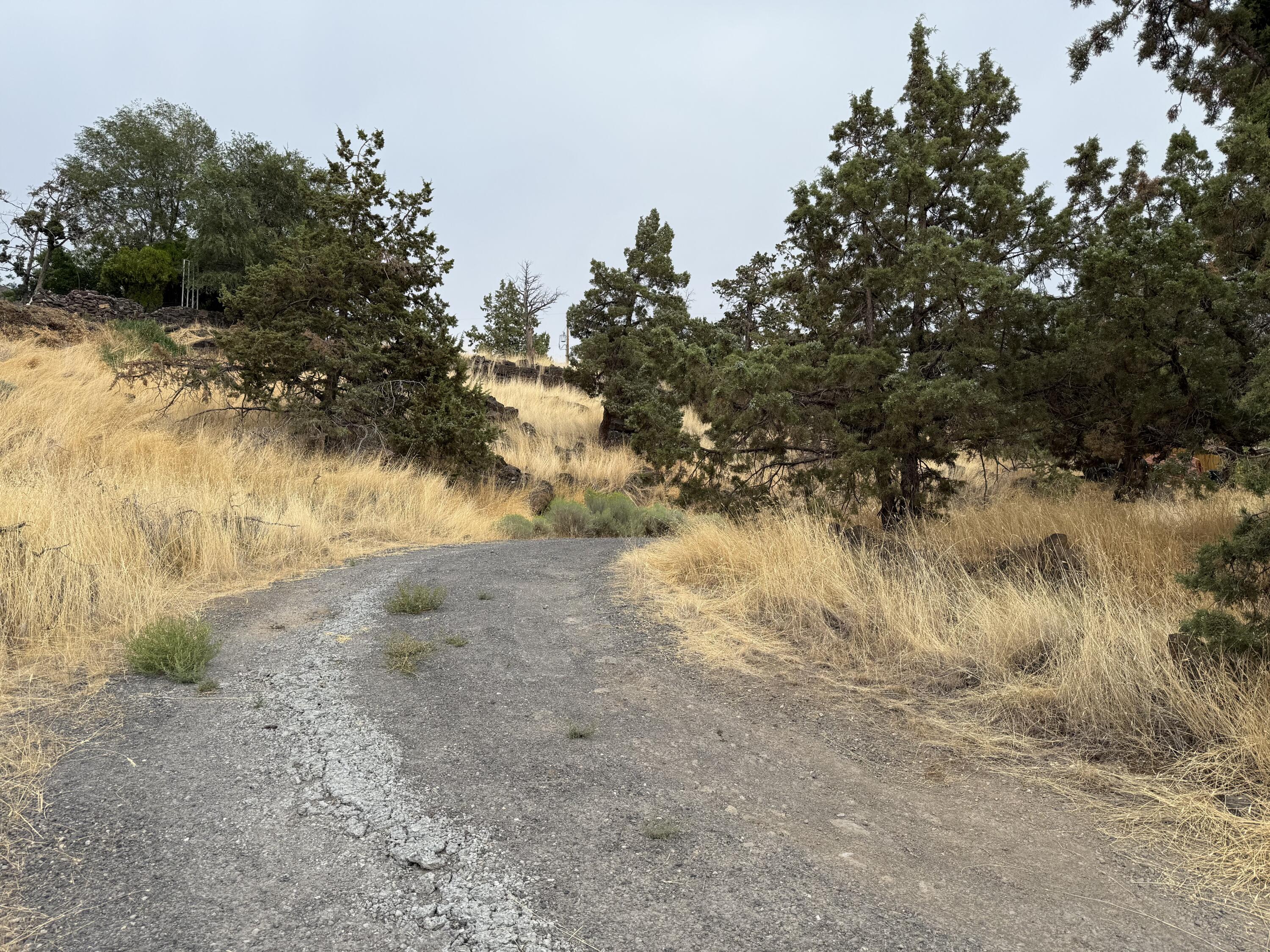 Hillman - Land