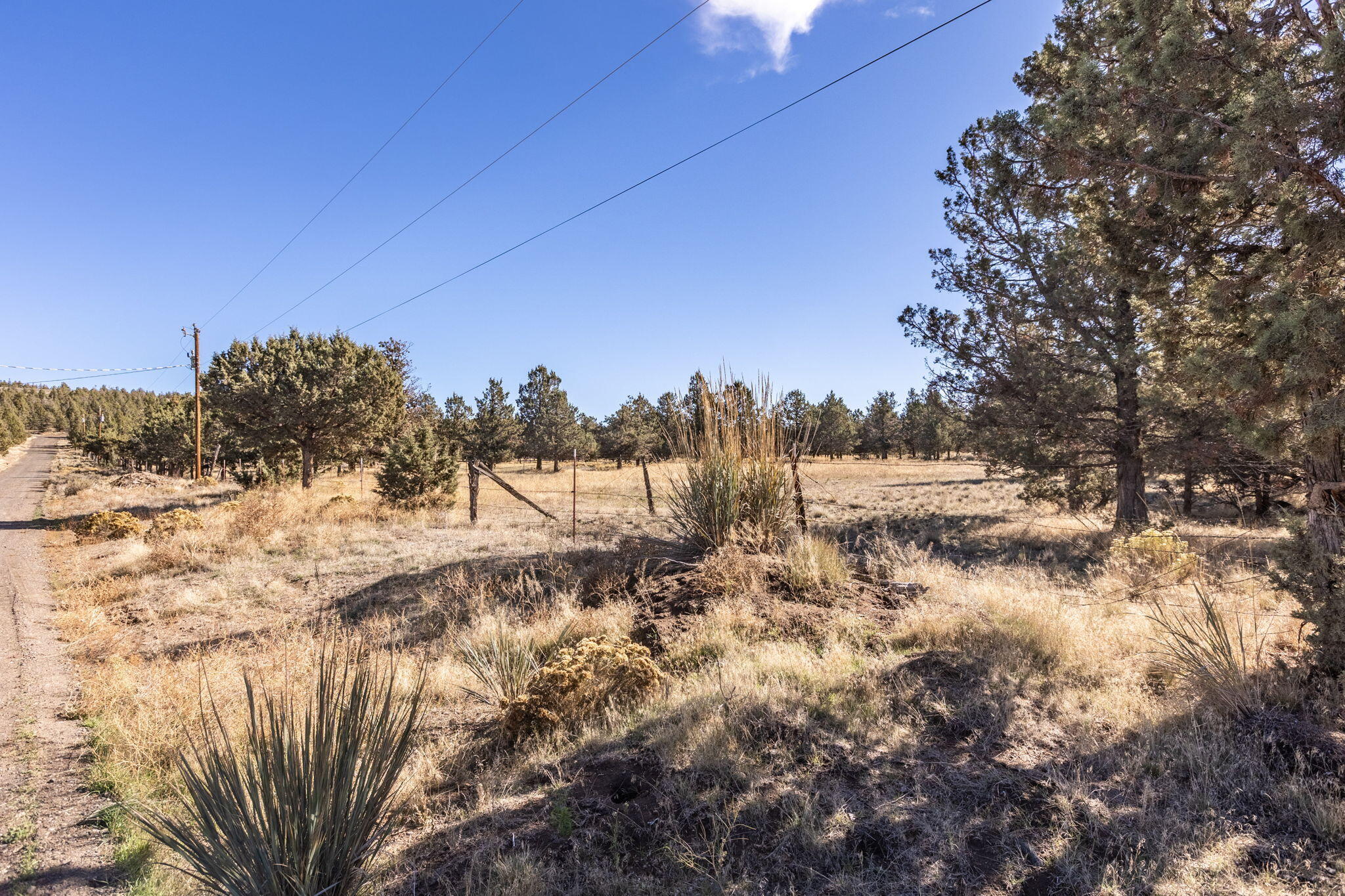 Prineville Lake Acres 1 - Land