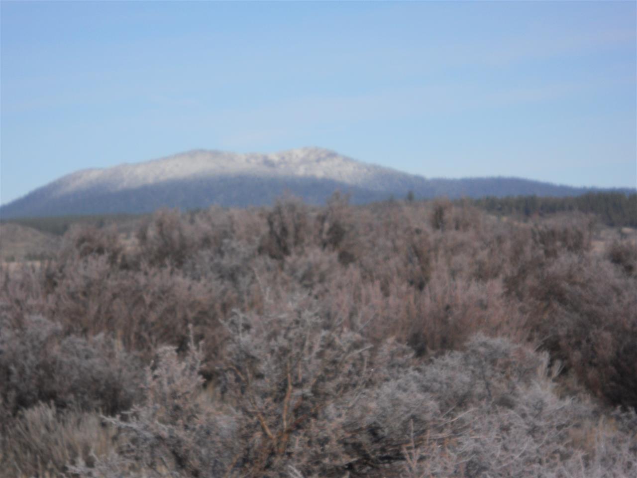 Here It Is, 160 Acres Of Ground To Call Your Own! Price Right And Ready To Go, Hunt Or Explore To Your Hearts Content!