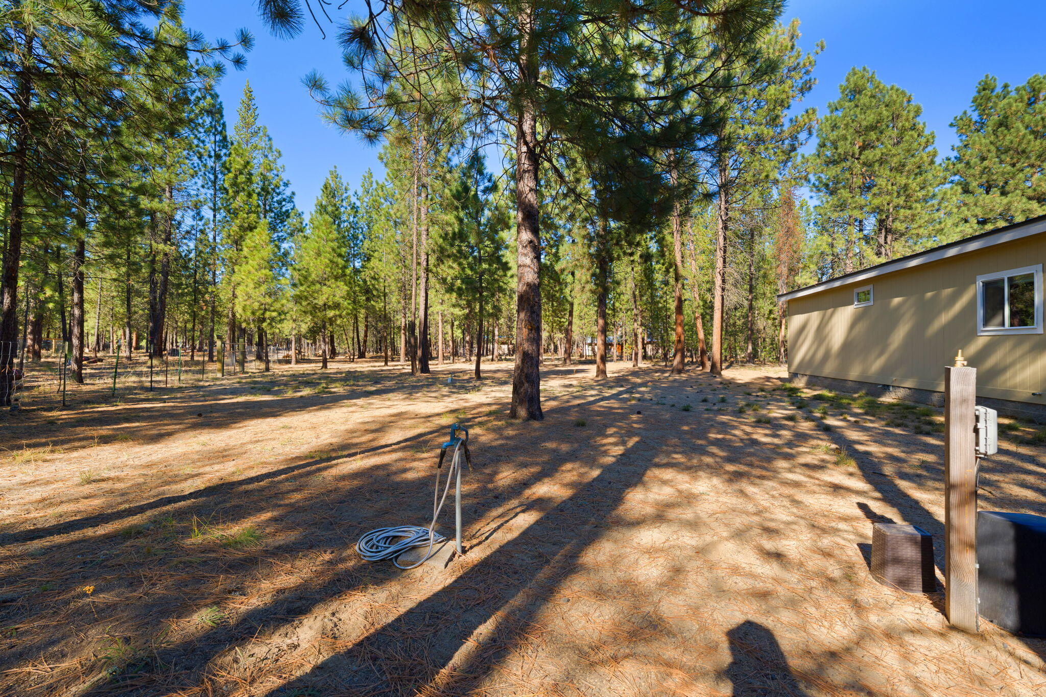 Ponderosa Pines - Residential