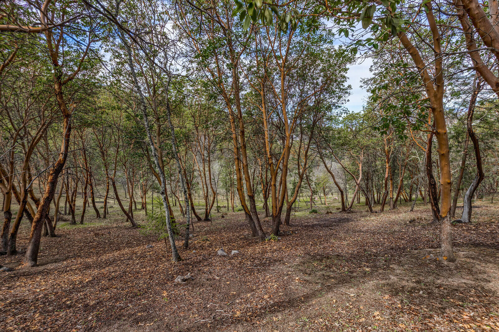 Highwood Mountain Reserve - Residential