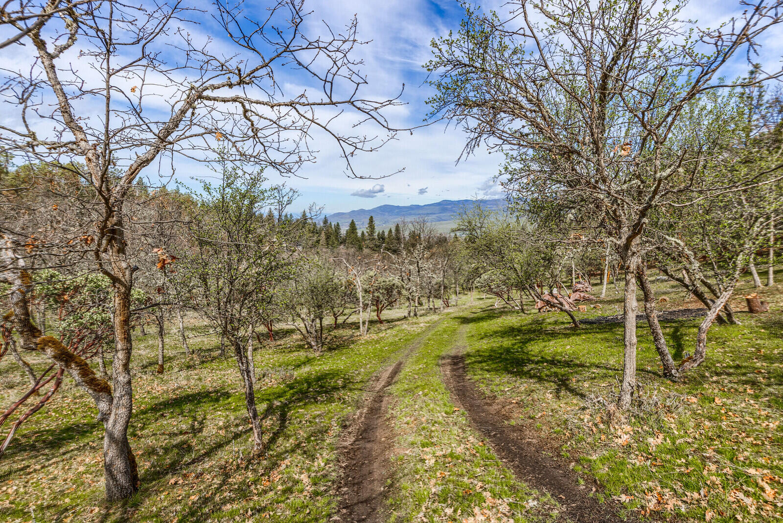 Highwood Mountain Reserve - Residential