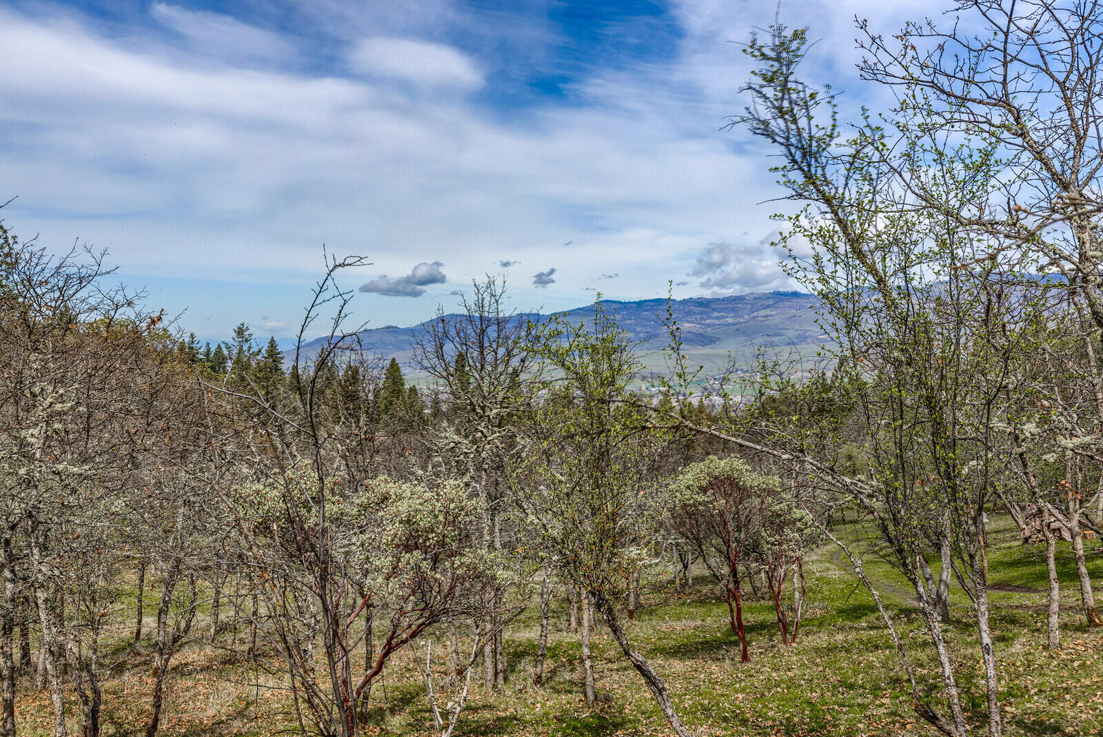 Highwood Mountain Reserve - Residential