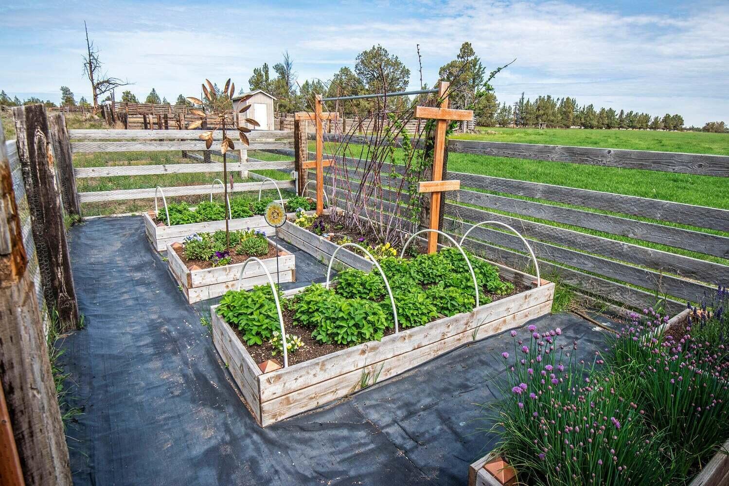 N/A - Farm