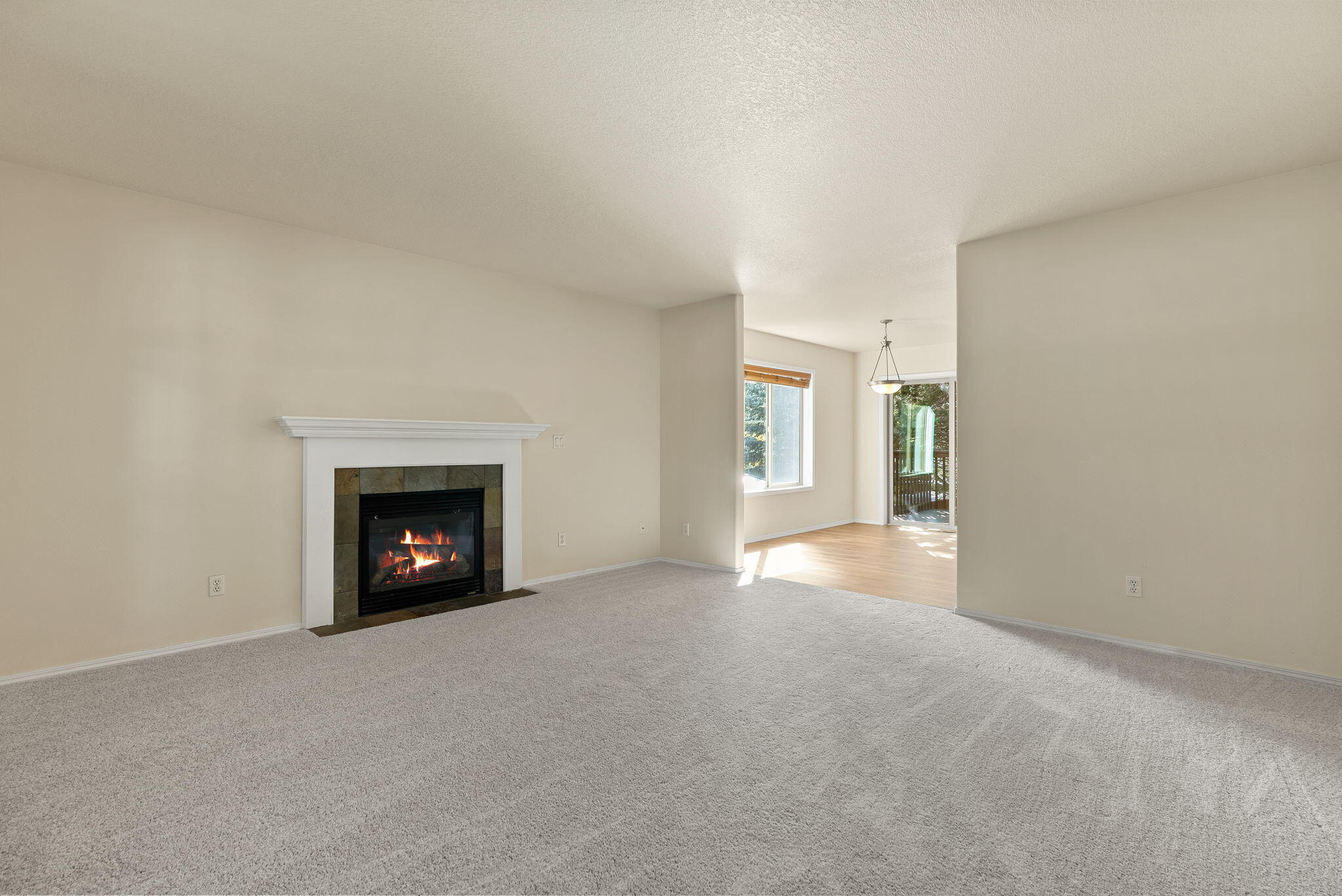 Conifer Estates - Residential