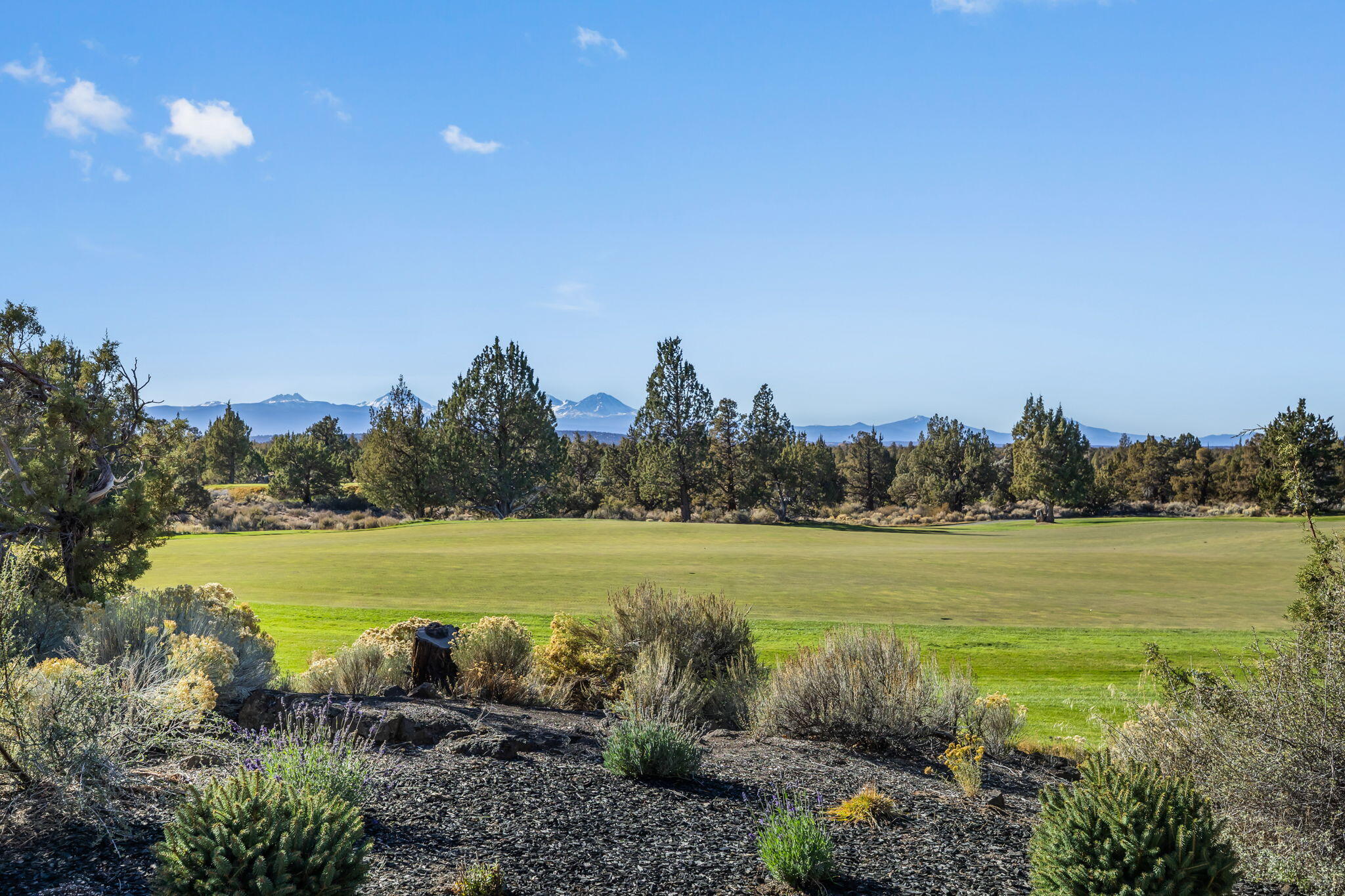 Pronghorn - Residential