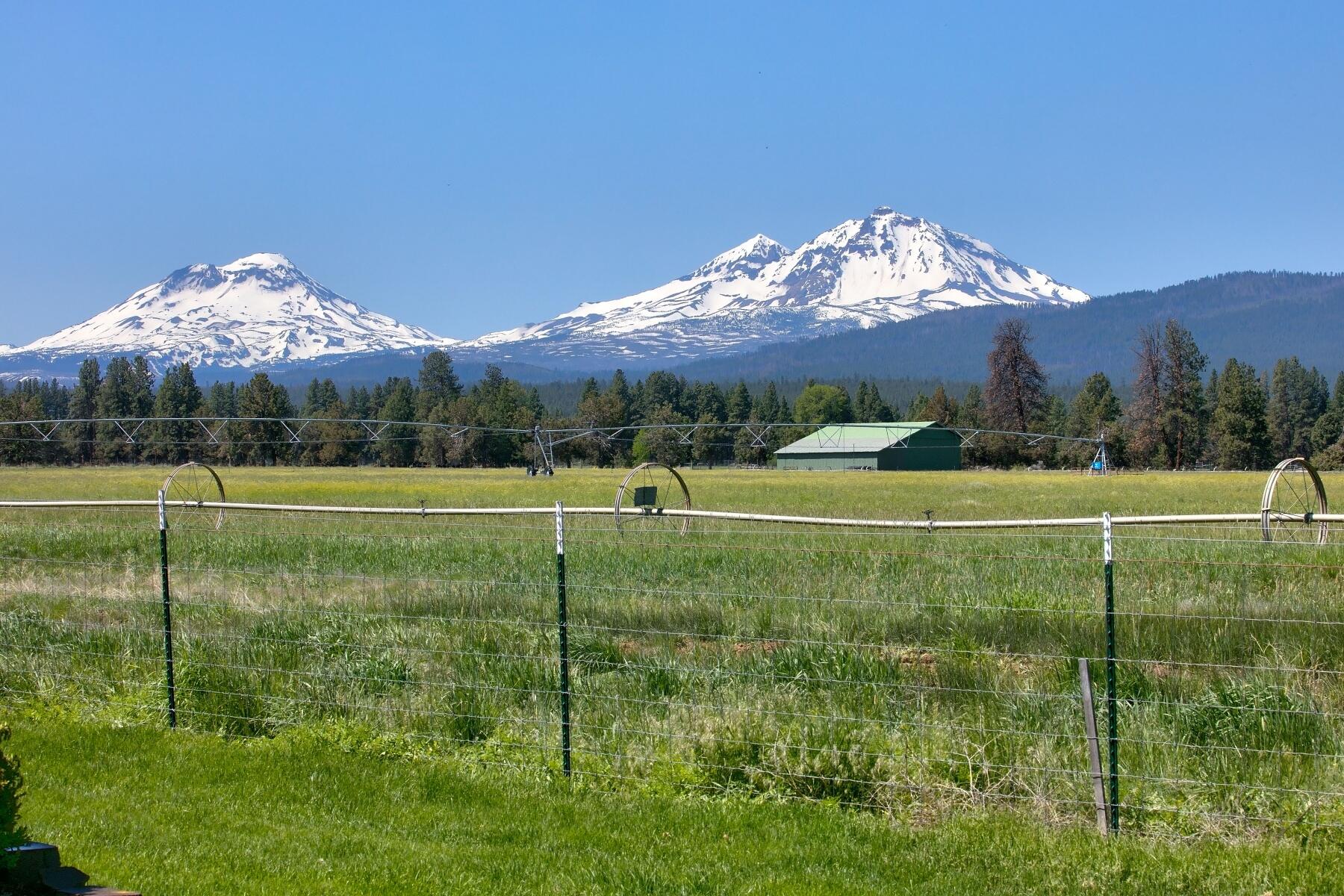 Rare opportunity! This is your chance to own an edge lot in the premier subdivision in Sisters, Pine Meadow Village. This three bedroom (primary on main level), three full bathroom home features mountain and meadow views, kitchen open to both the dining and great room with propane fireplace, vaulted ceilings, engineered hardwood floors, two car garage and huge attic storage on the second level with a 9' ceiling! This home is in close proximity to the community clubhouse and pool as well as minutes walking/biking/driving into downtown Sisters! Book your showing to see this special property today!