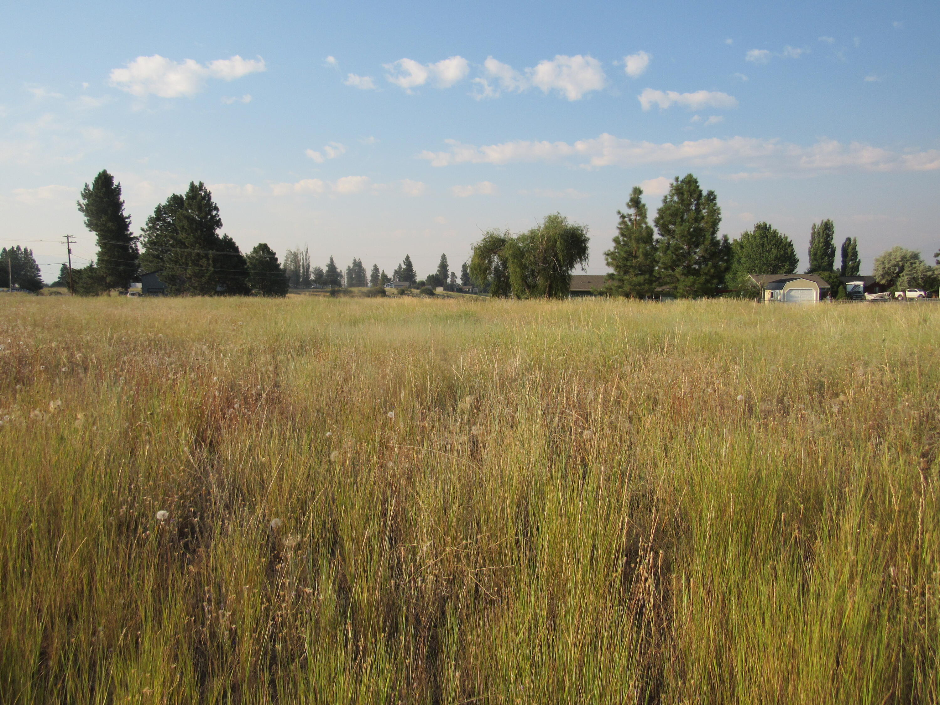 Oregon Shores -Unit 2 - Land